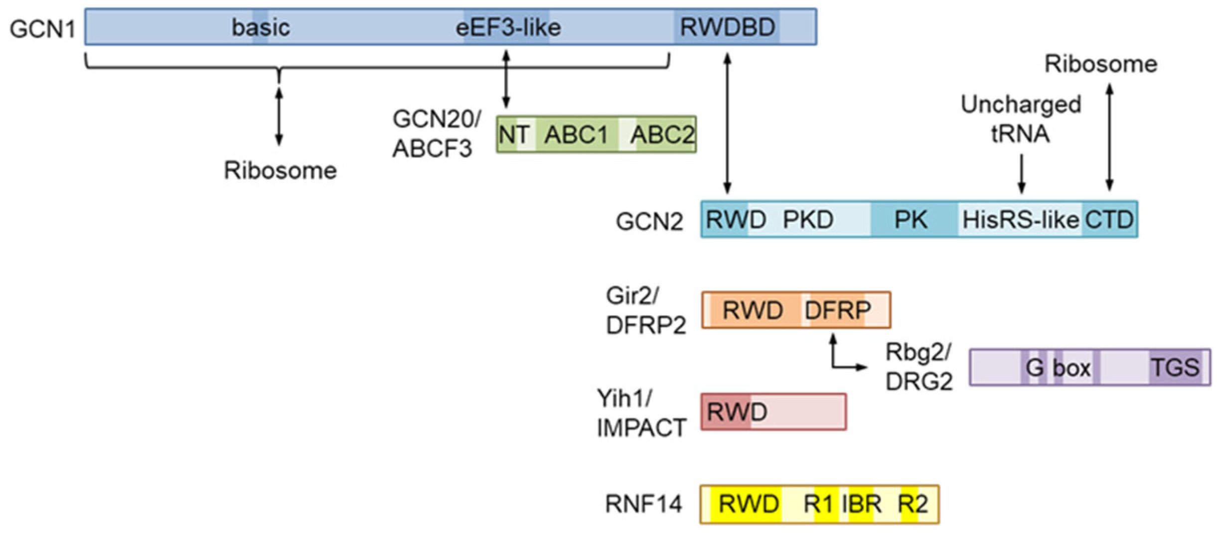 Preprints 97684 g002