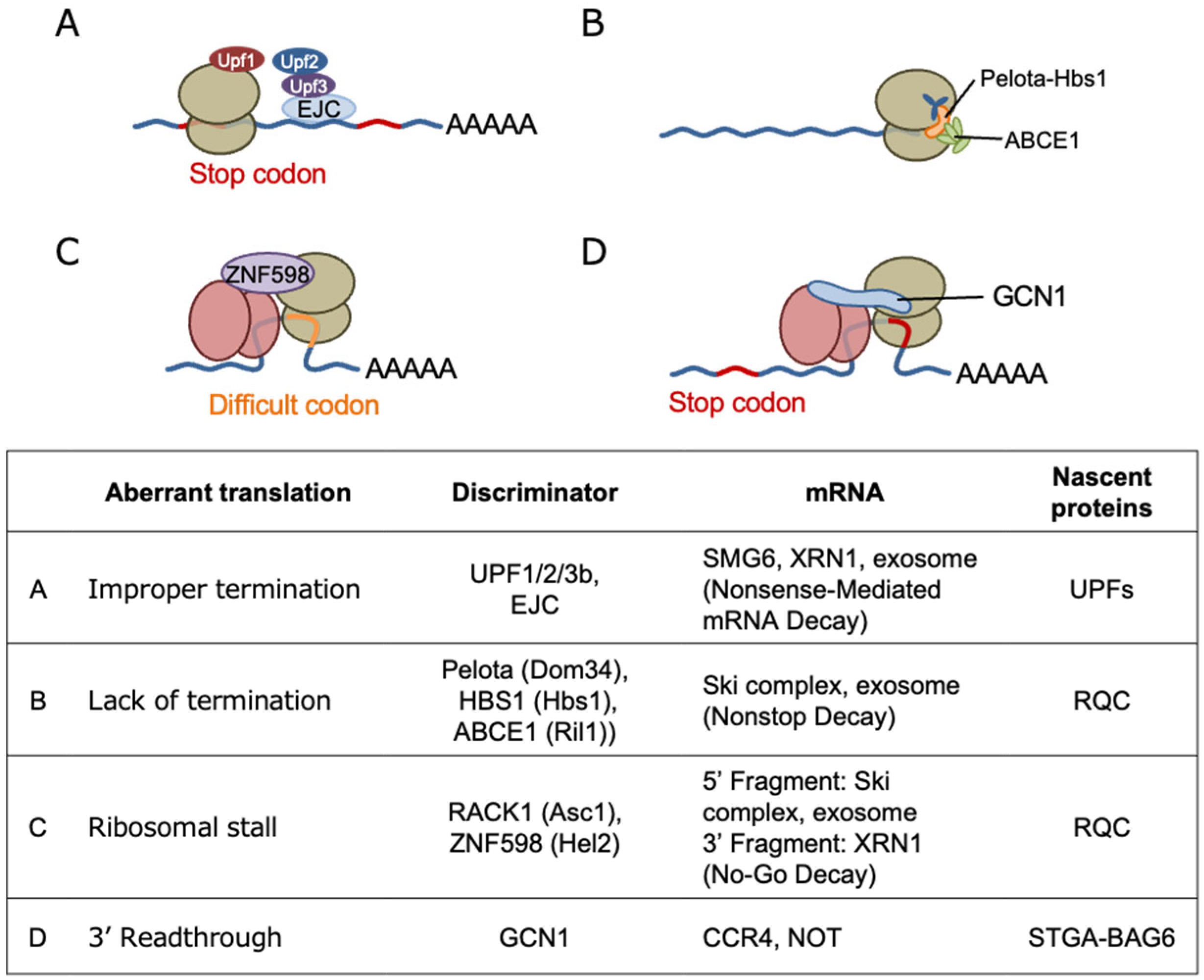 Preprints 97684 g004