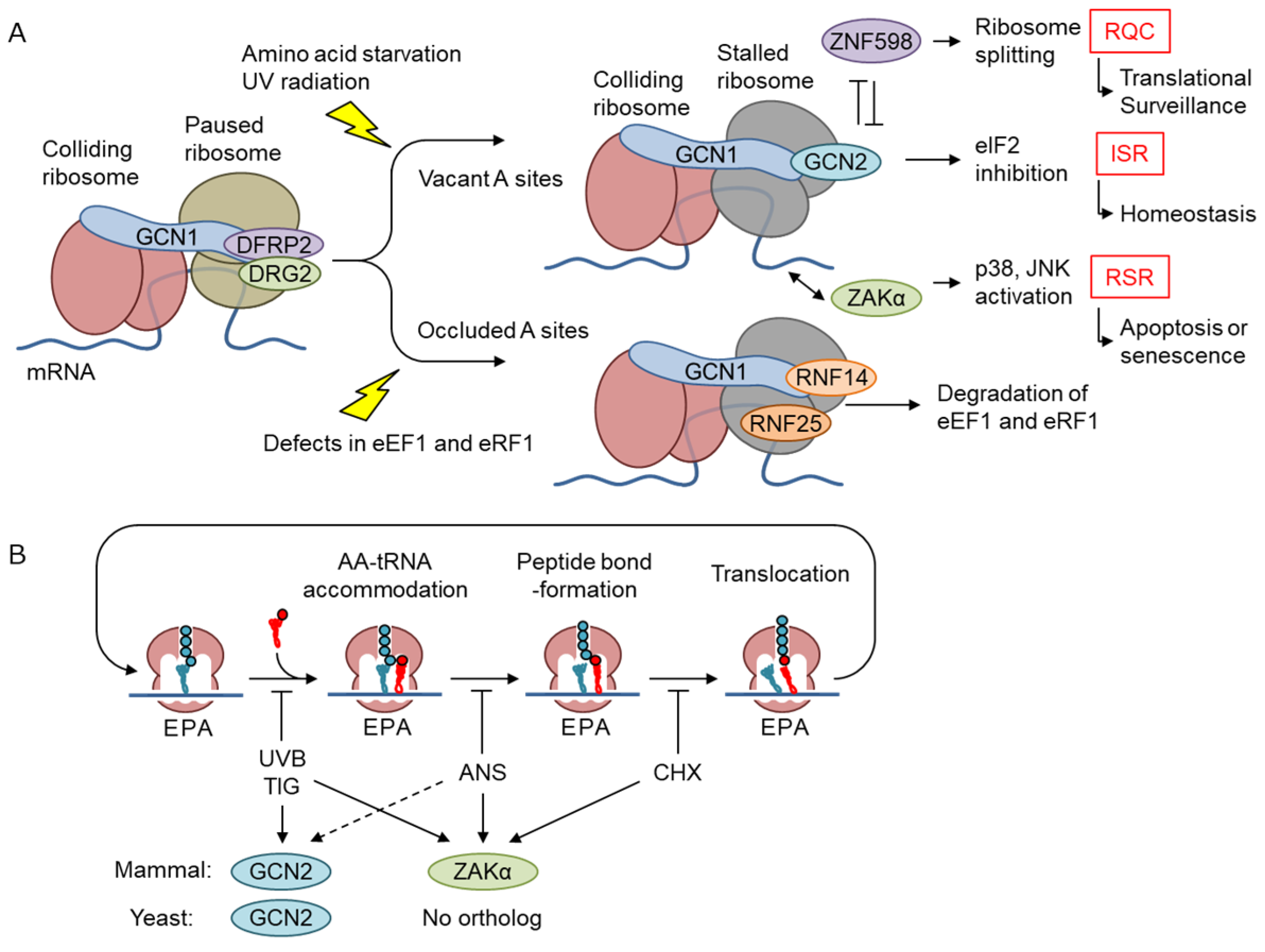 Preprints 97684 g005