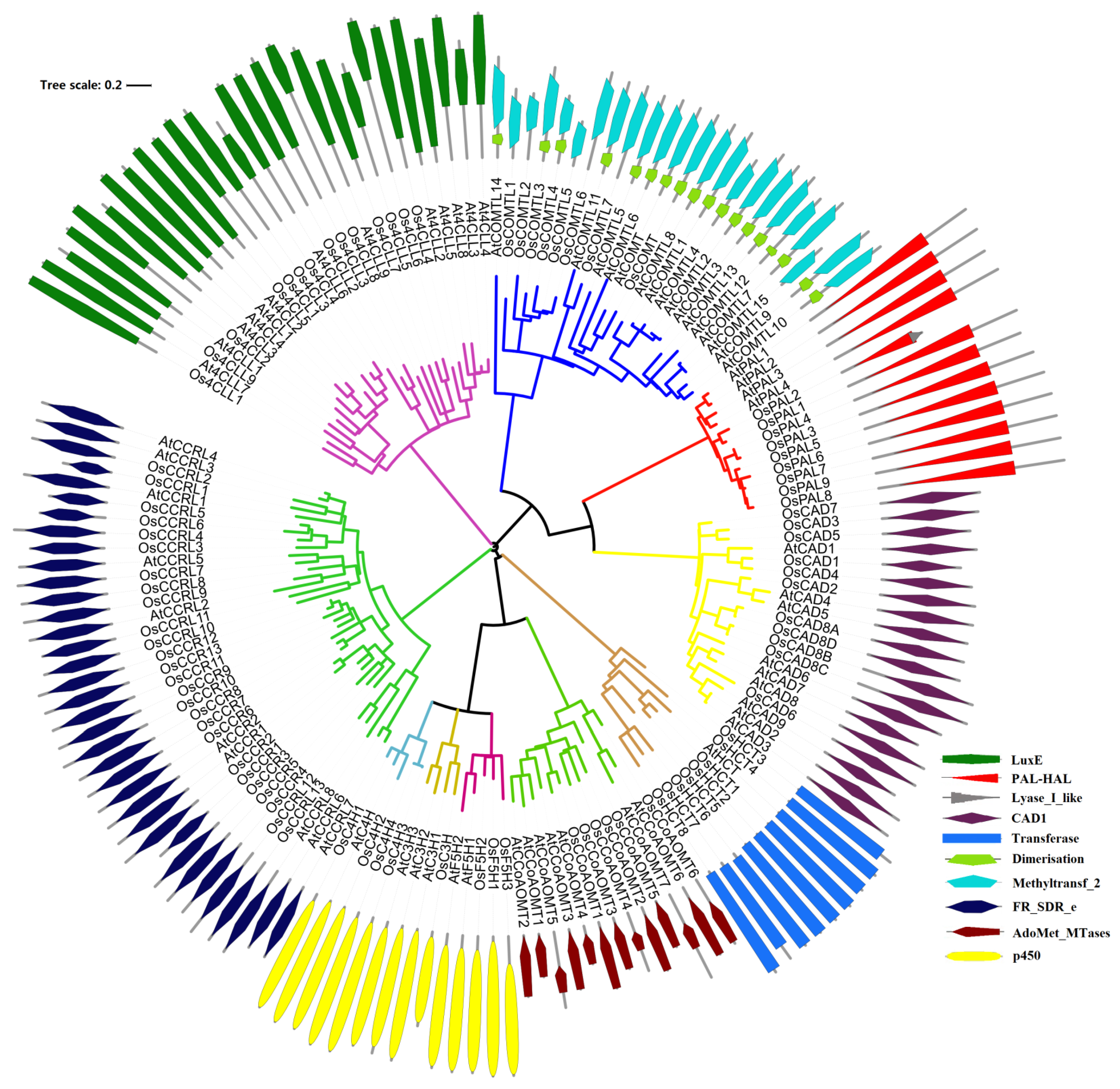 Preprints 117763 g001