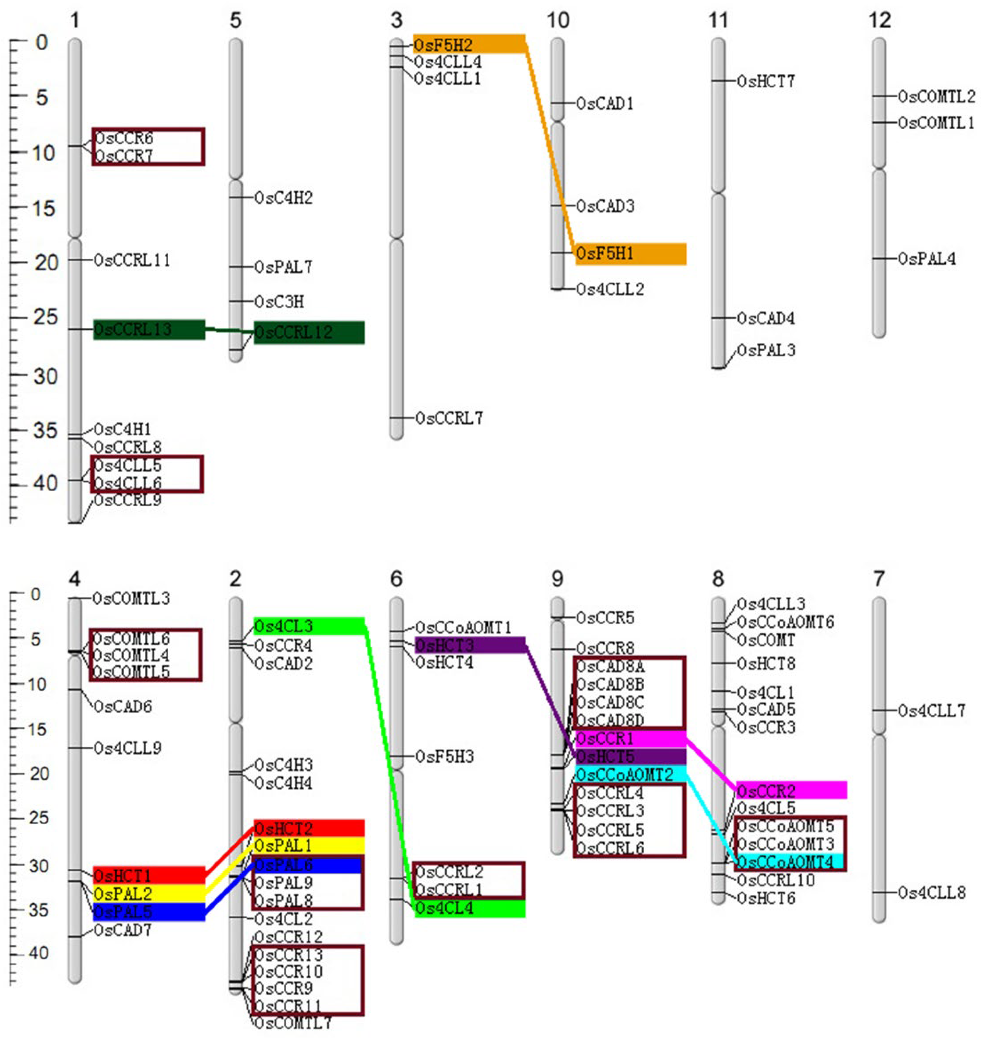 Preprints 117763 g002