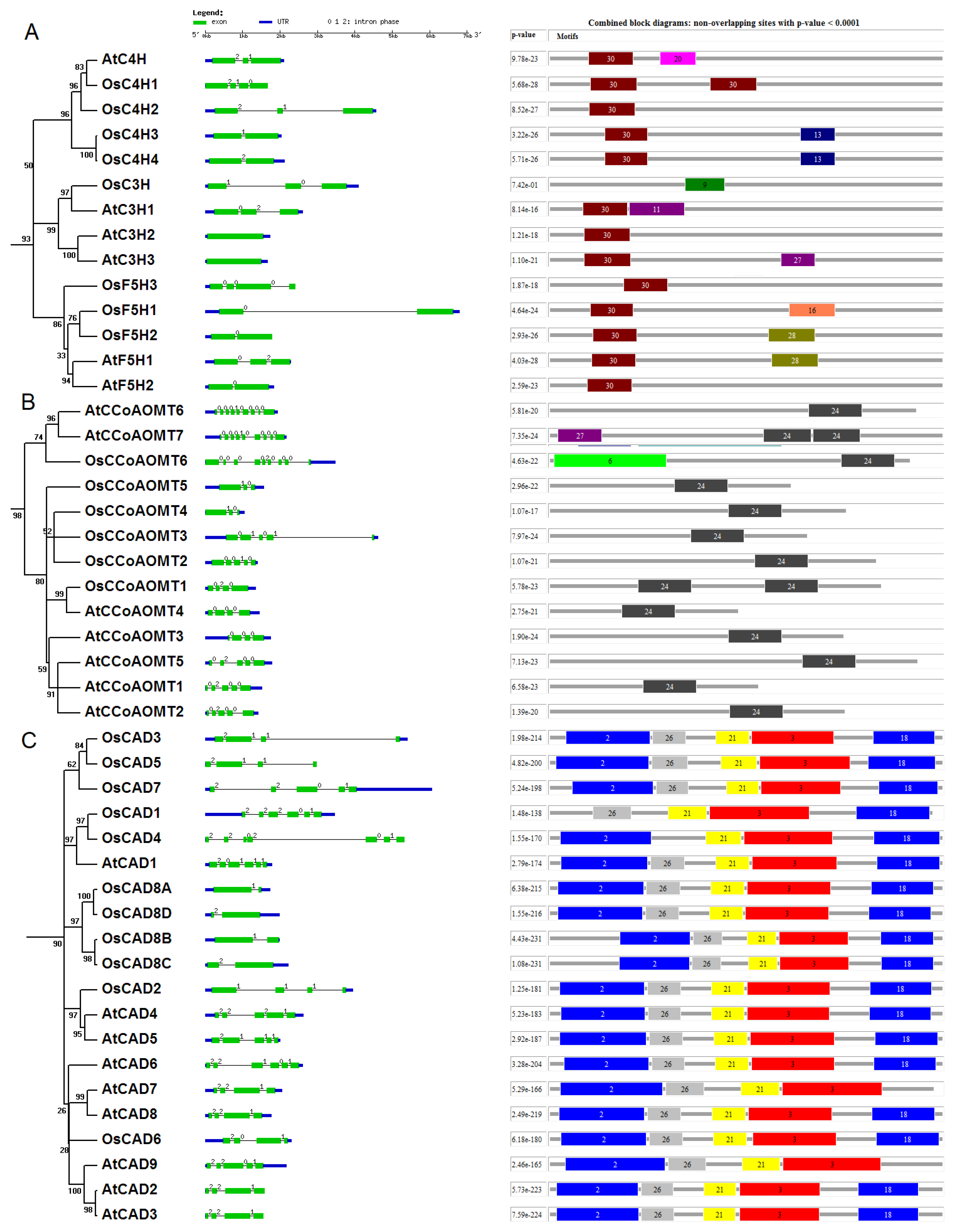 Preprints 117763 g003a