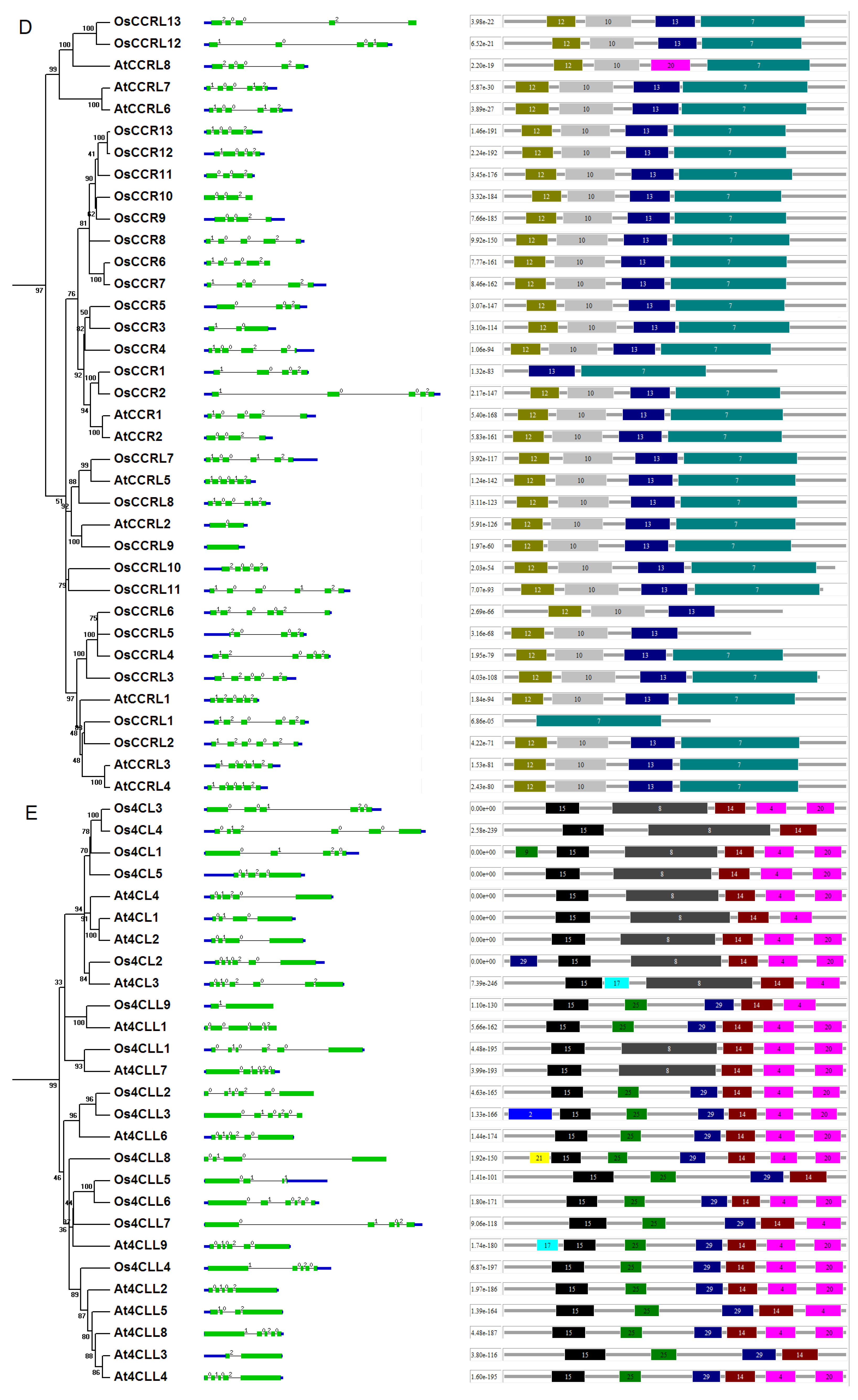 Preprints 117763 g003b