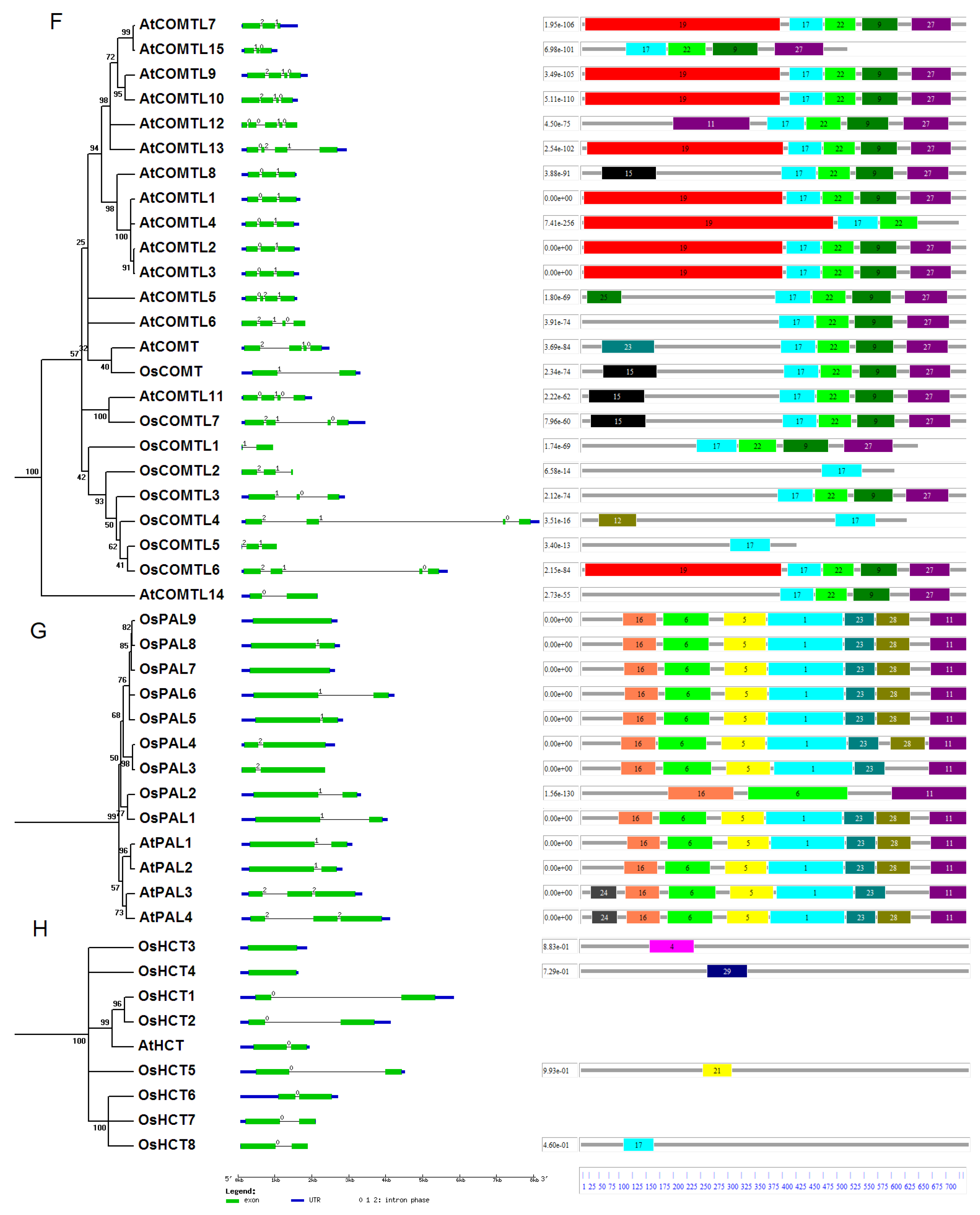 Preprints 117763 g003c