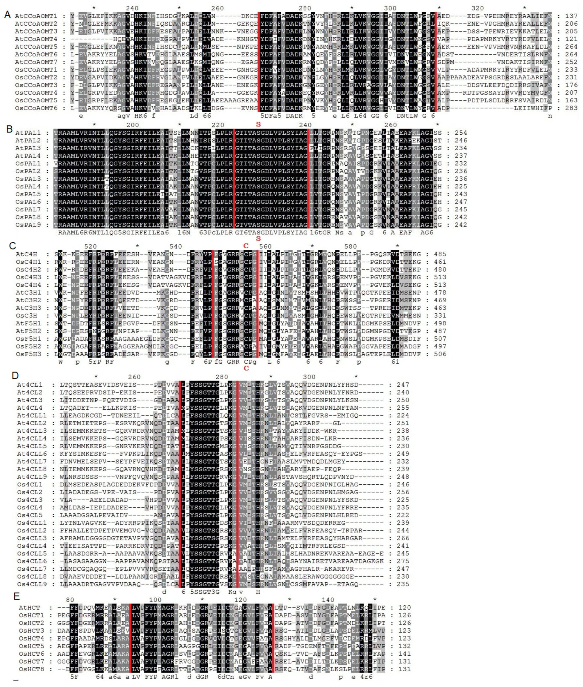 Preprints 117763 g004a