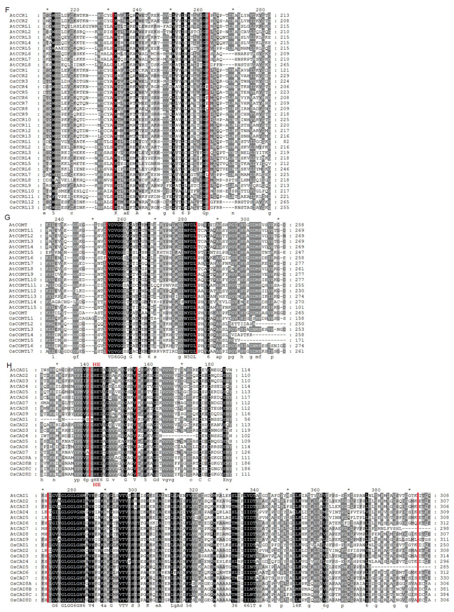 Preprints 117763 g004b