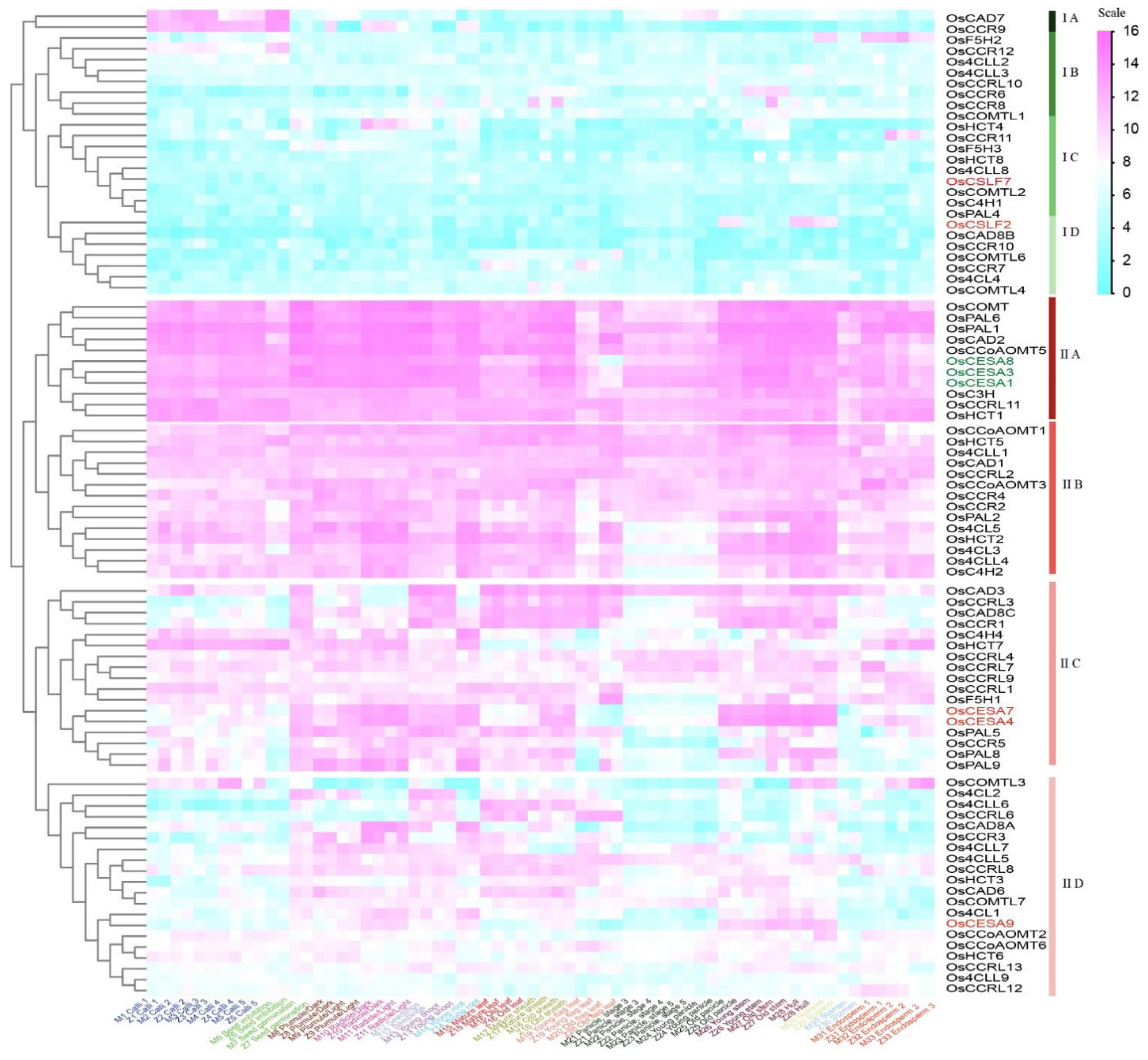 Preprints 117763 g005