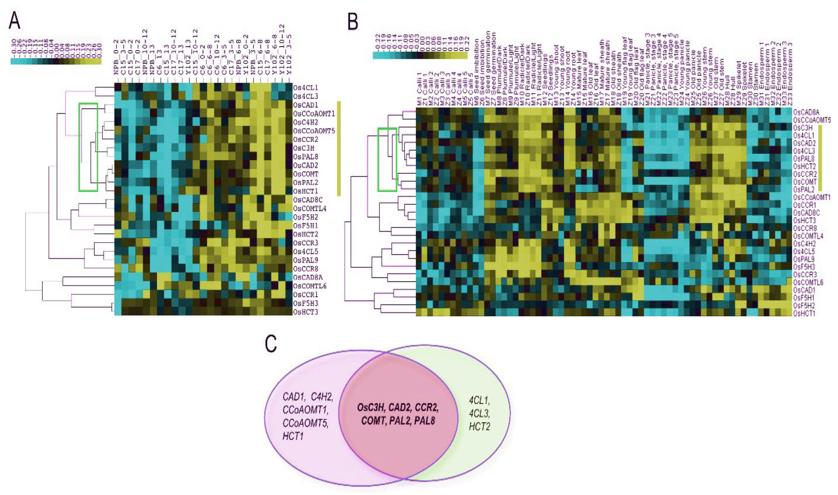 Preprints 117763 g009