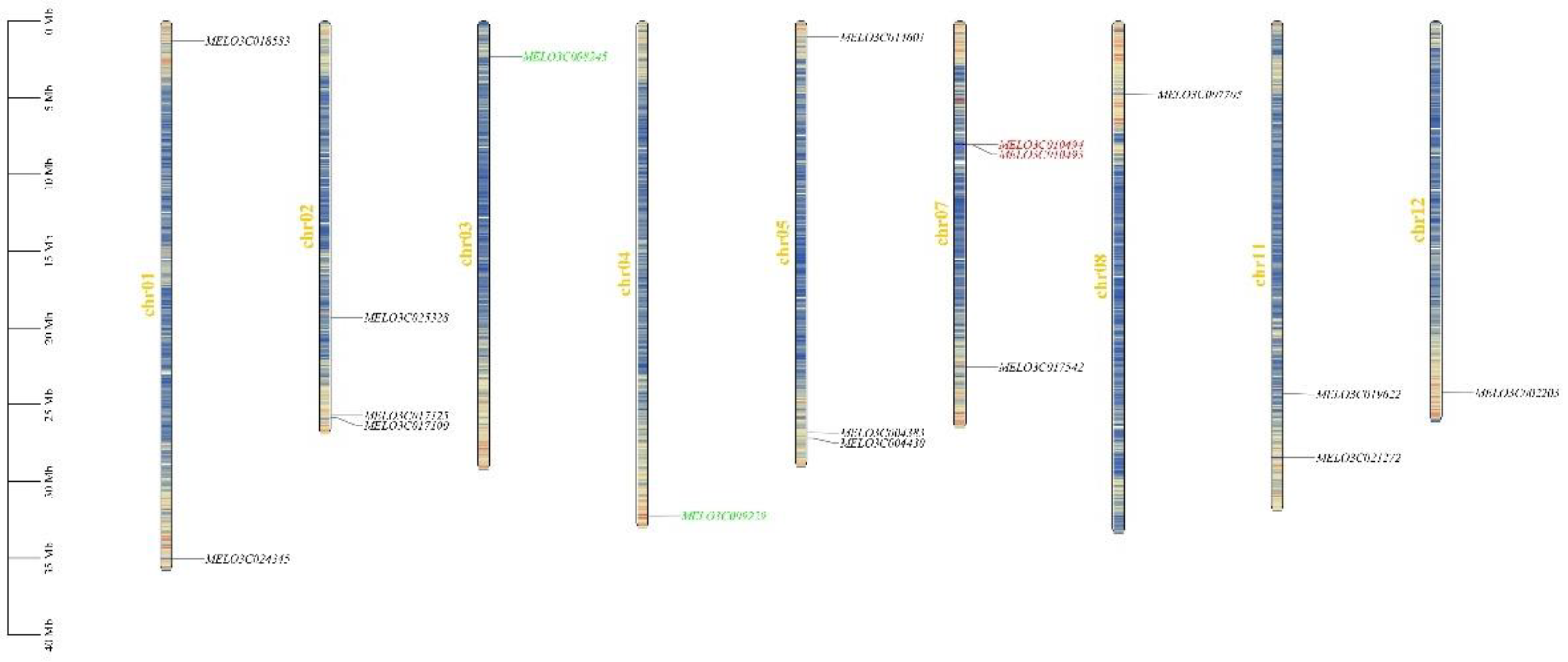 Preprints 119690 g001