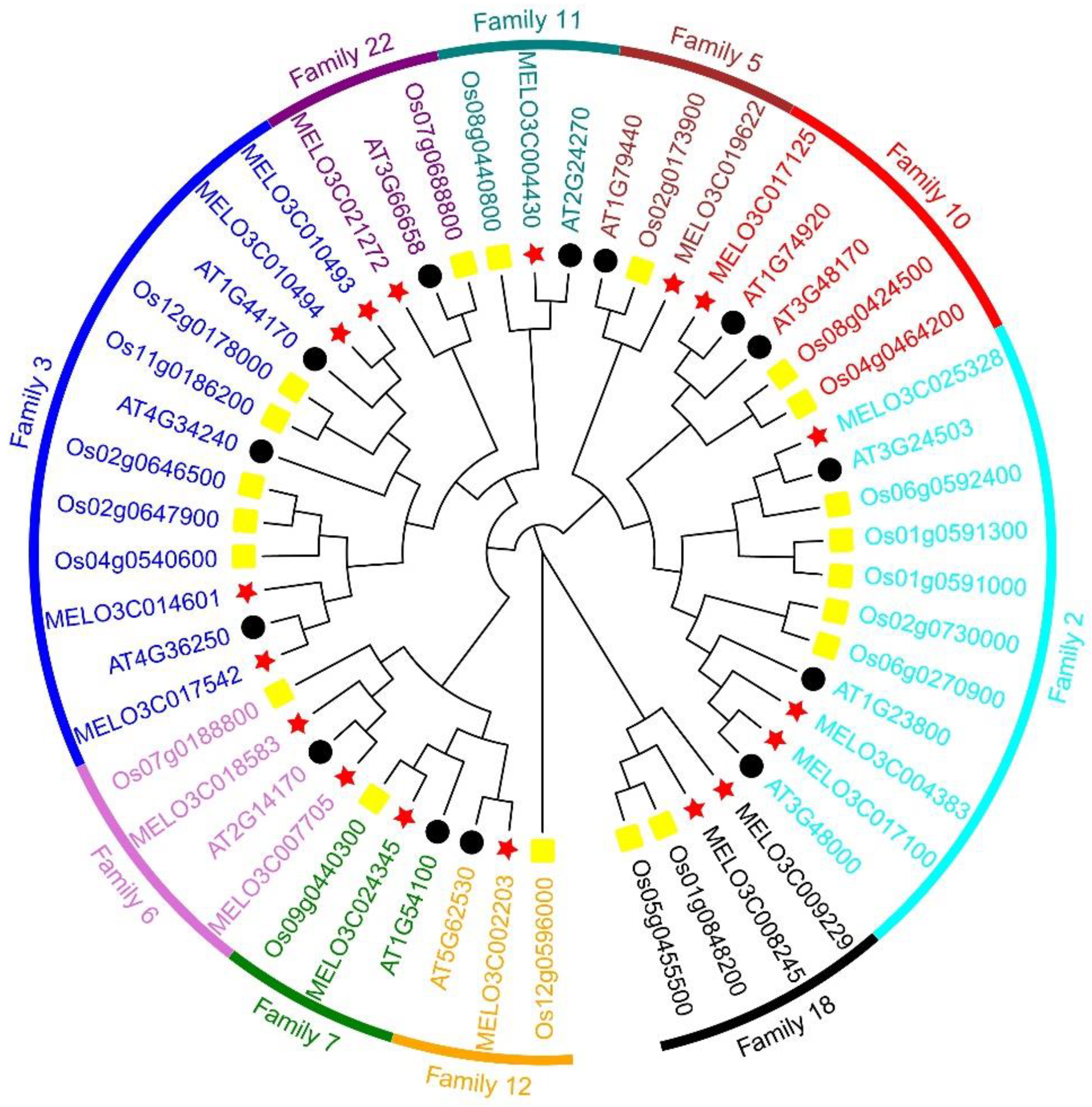 Preprints 119690 g002