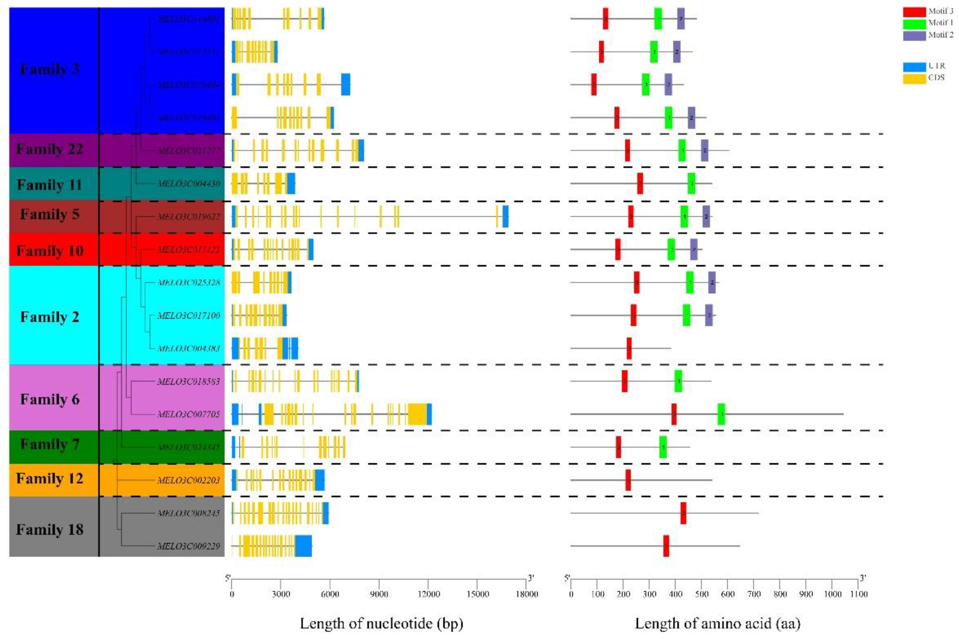 Preprints 119690 g003