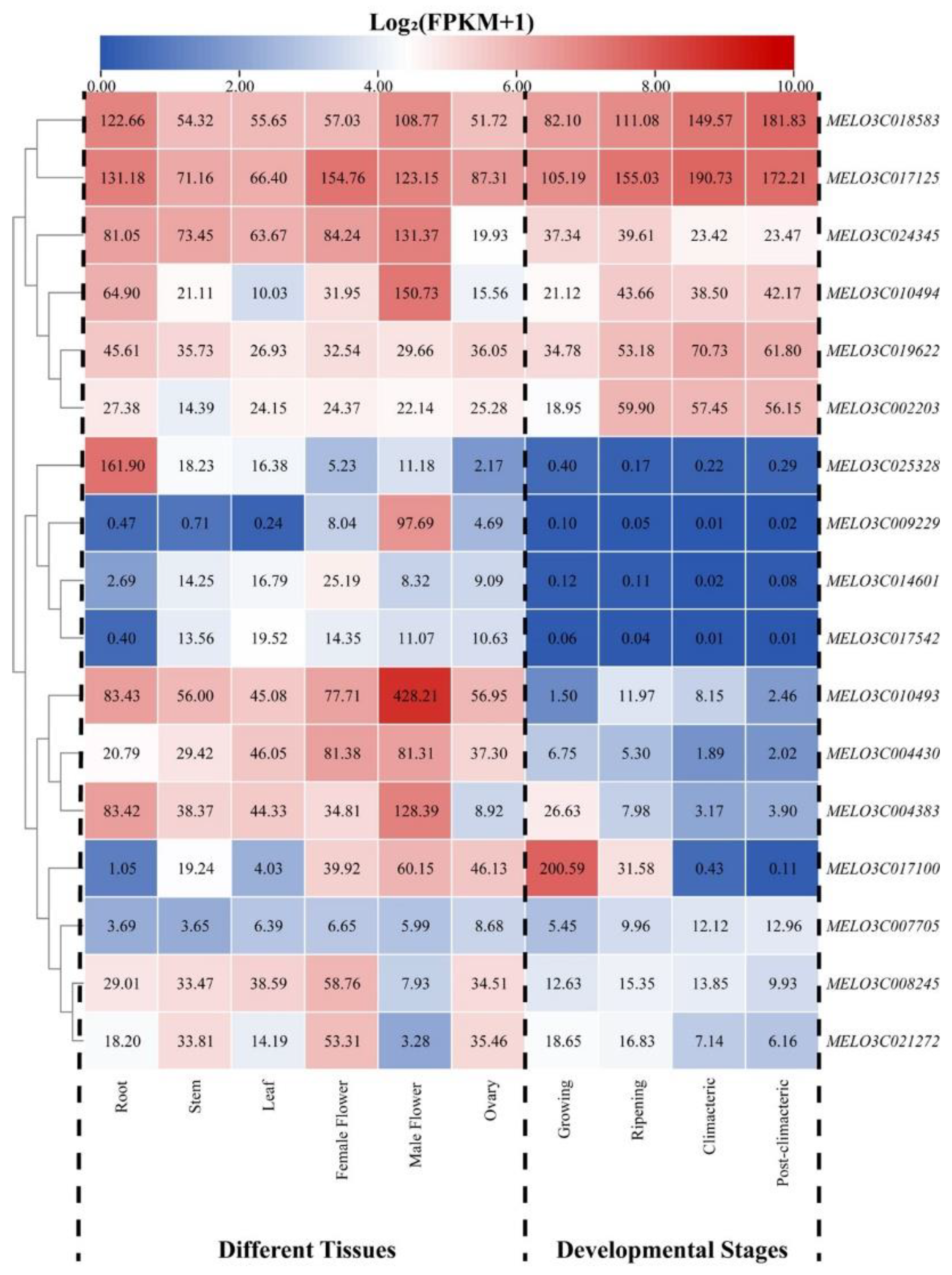 Preprints 119690 g006