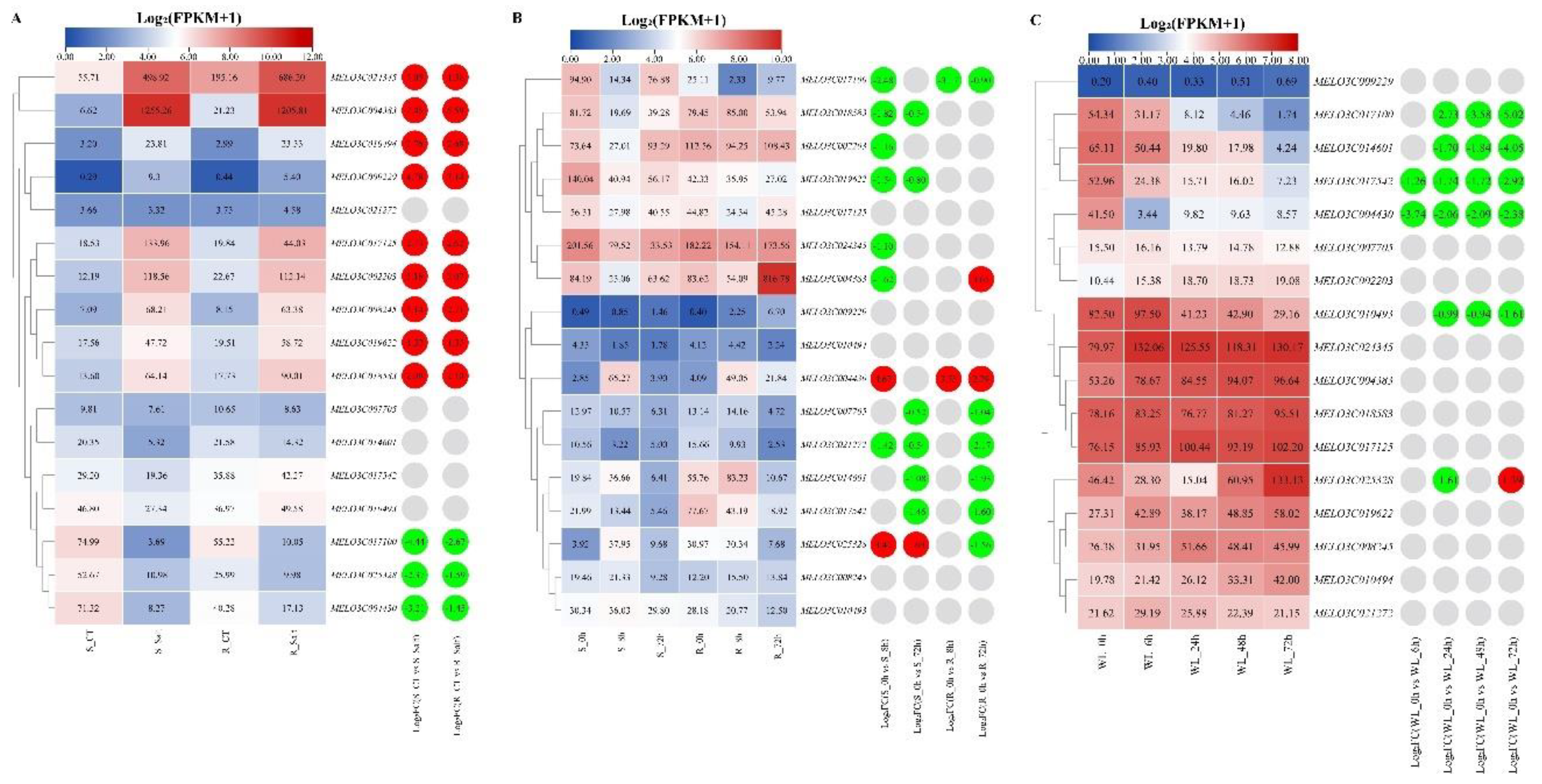 Preprints 119690 g007