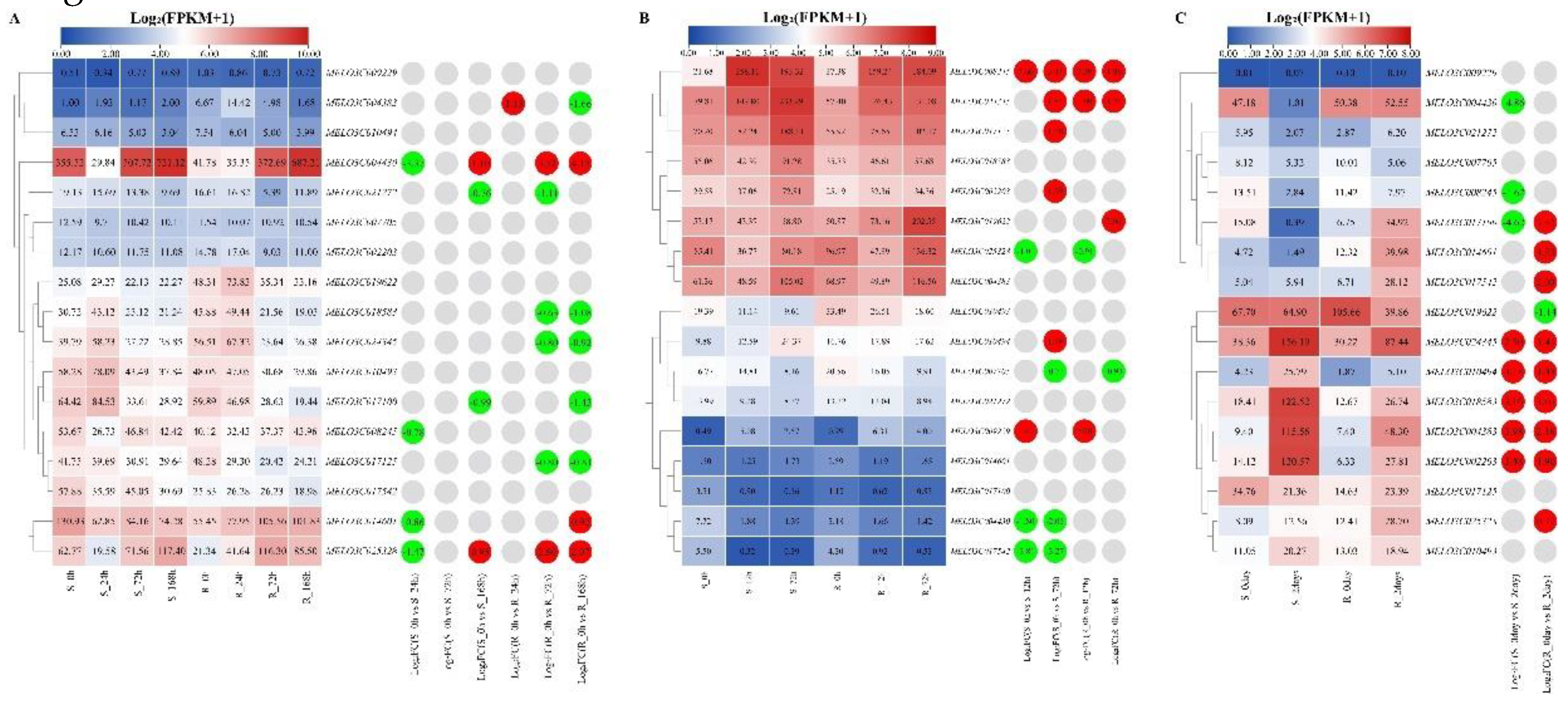 Preprints 119690 g008