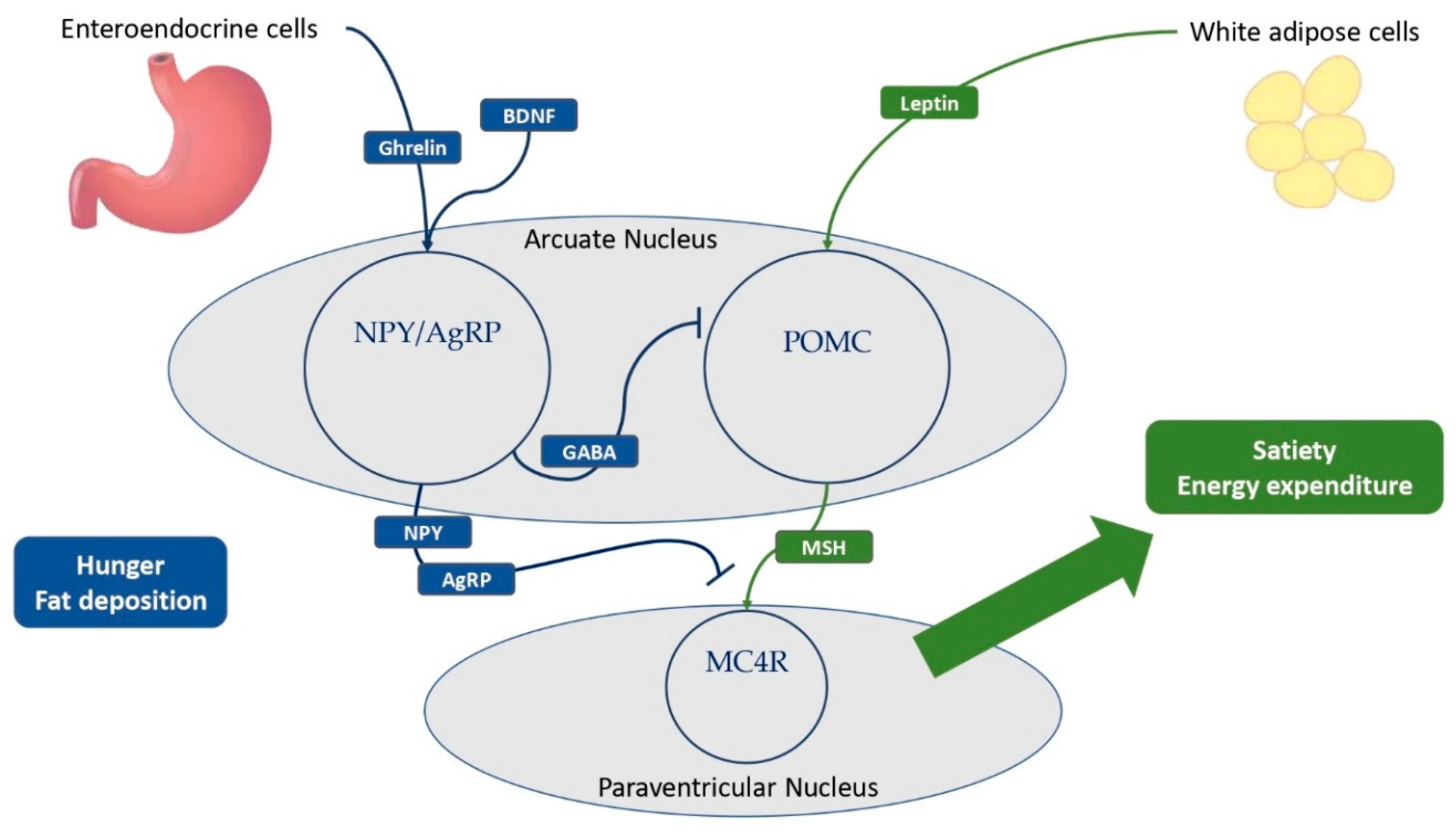 Preprints 74594 g002