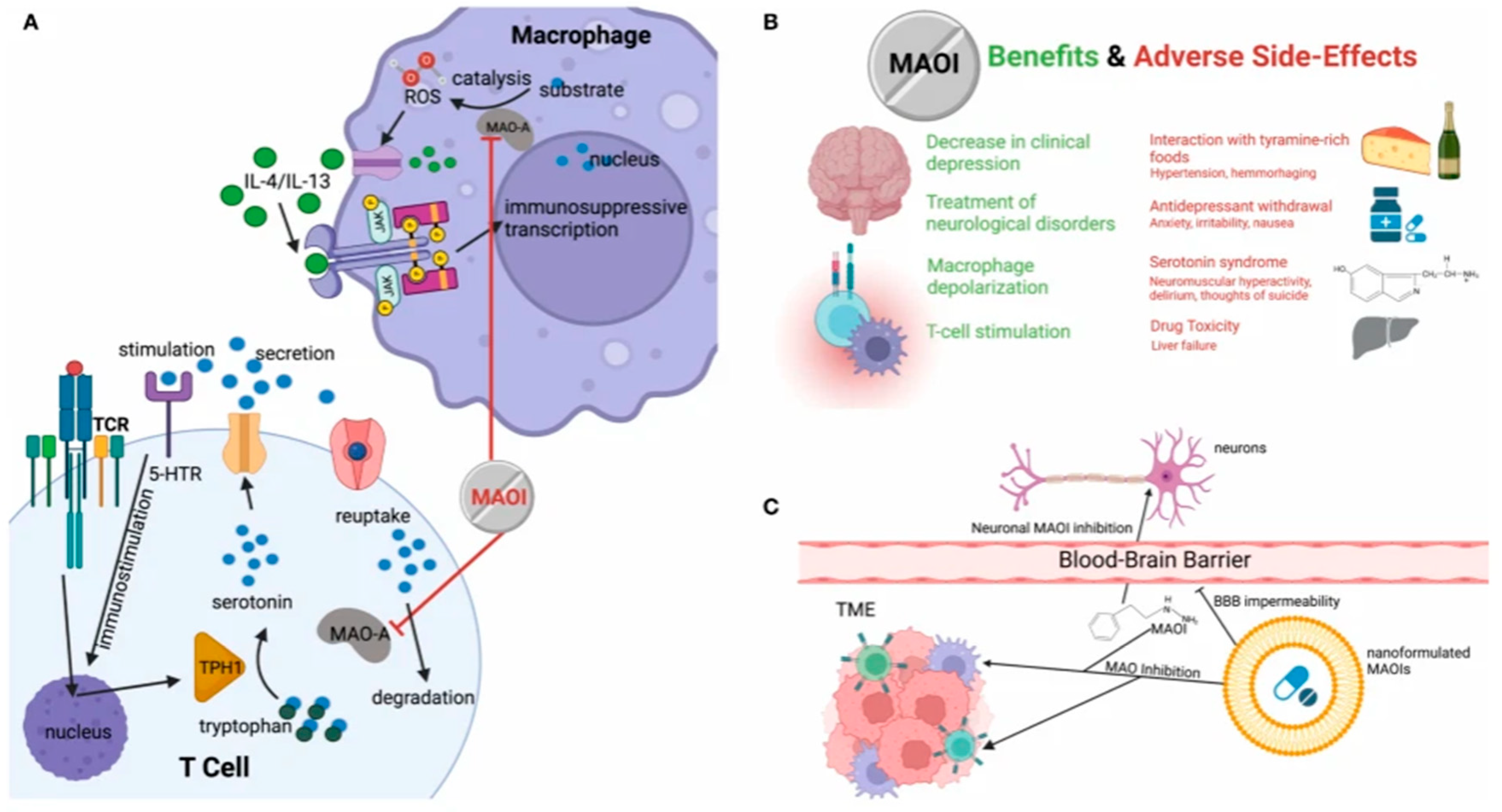 Preprints 89005 g002