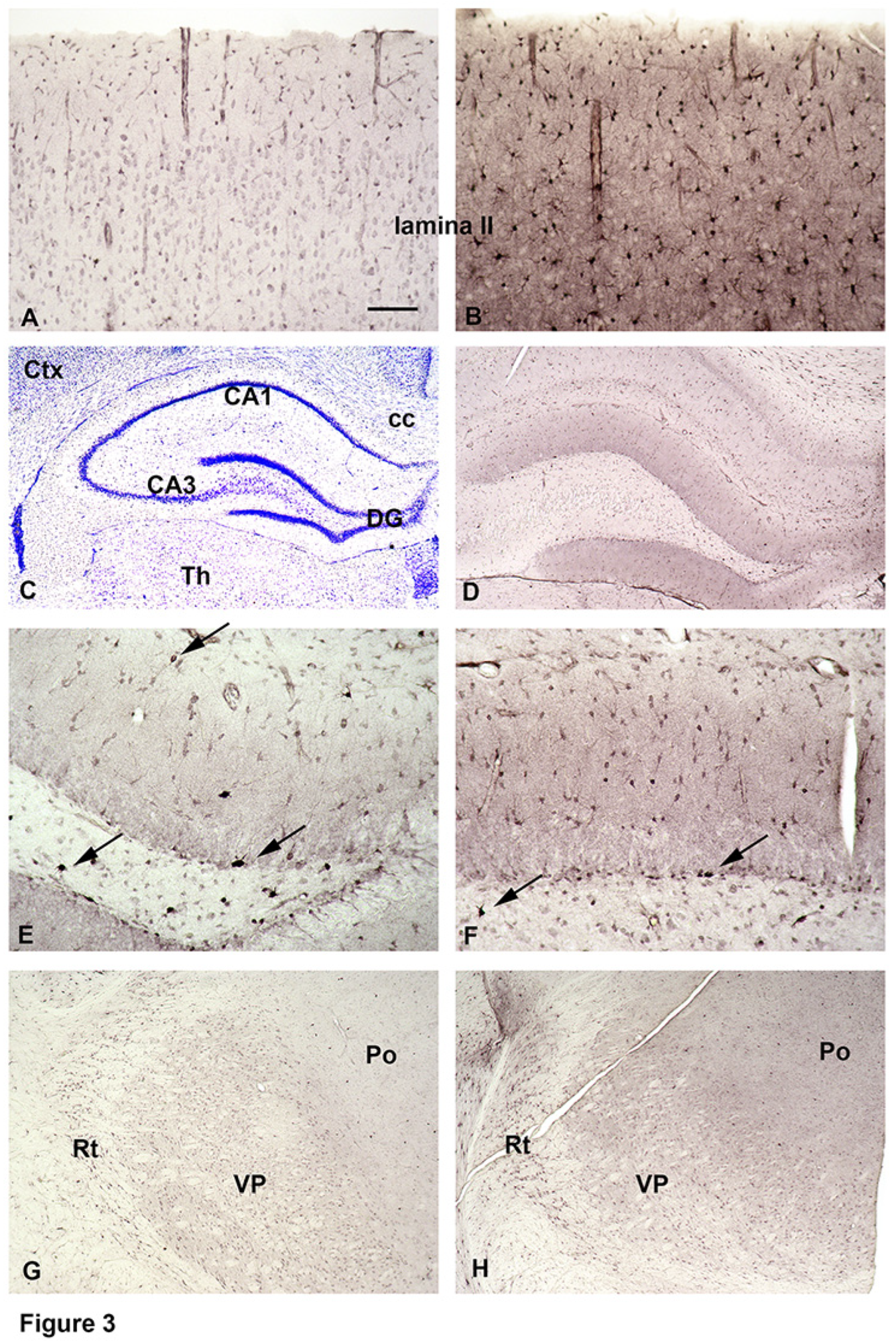 Preprints 74226 g003