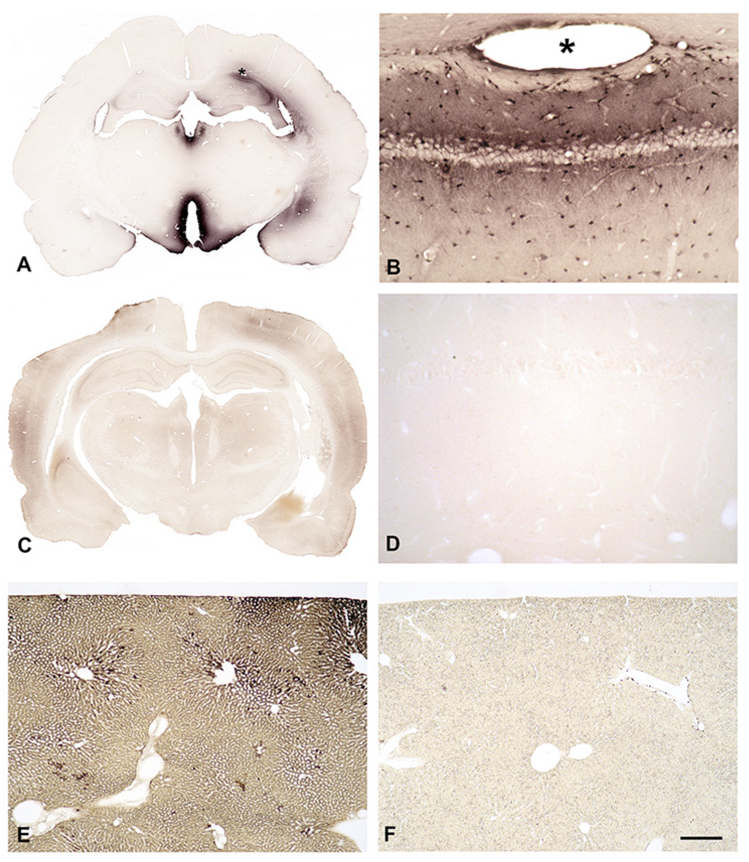 Preprints 74226 g005