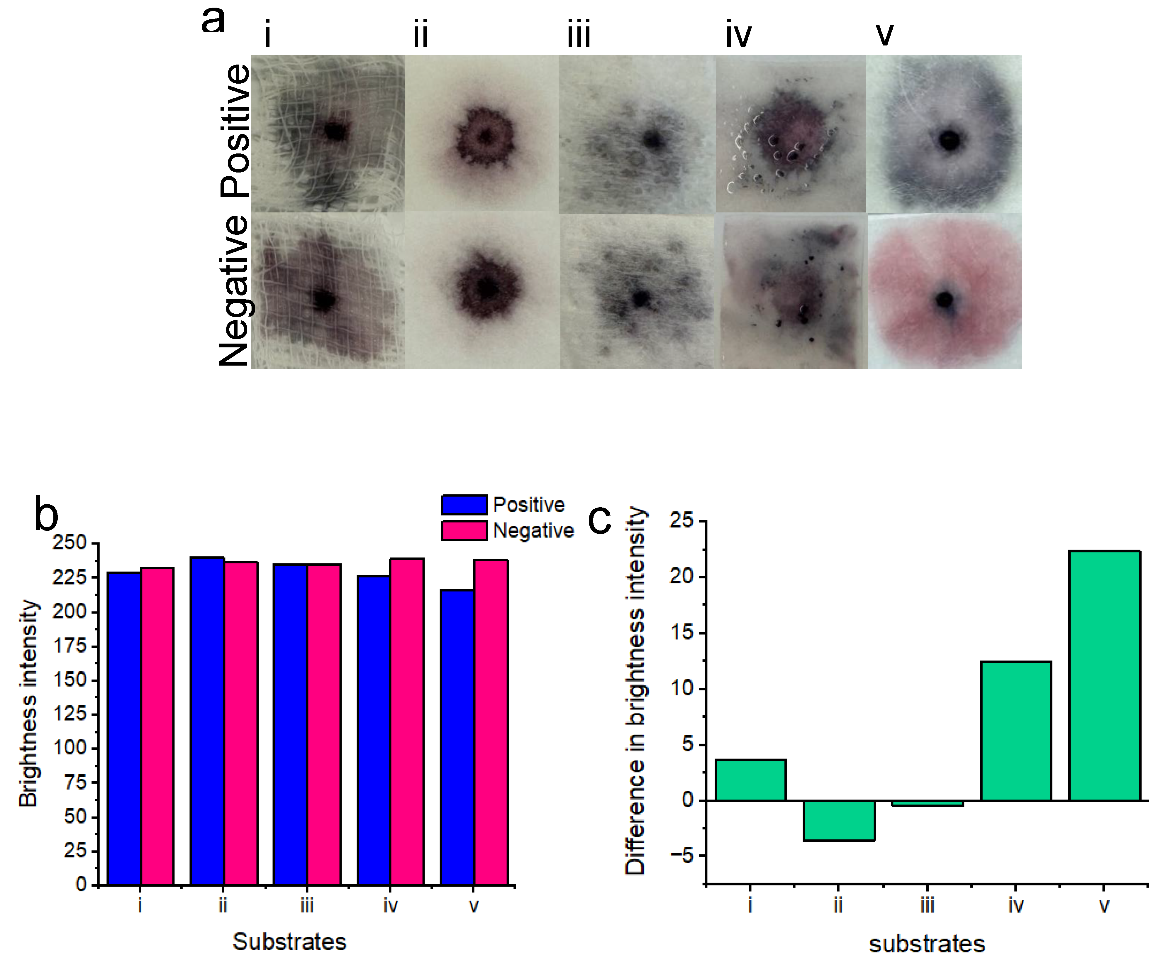 Preprints 108024 g004