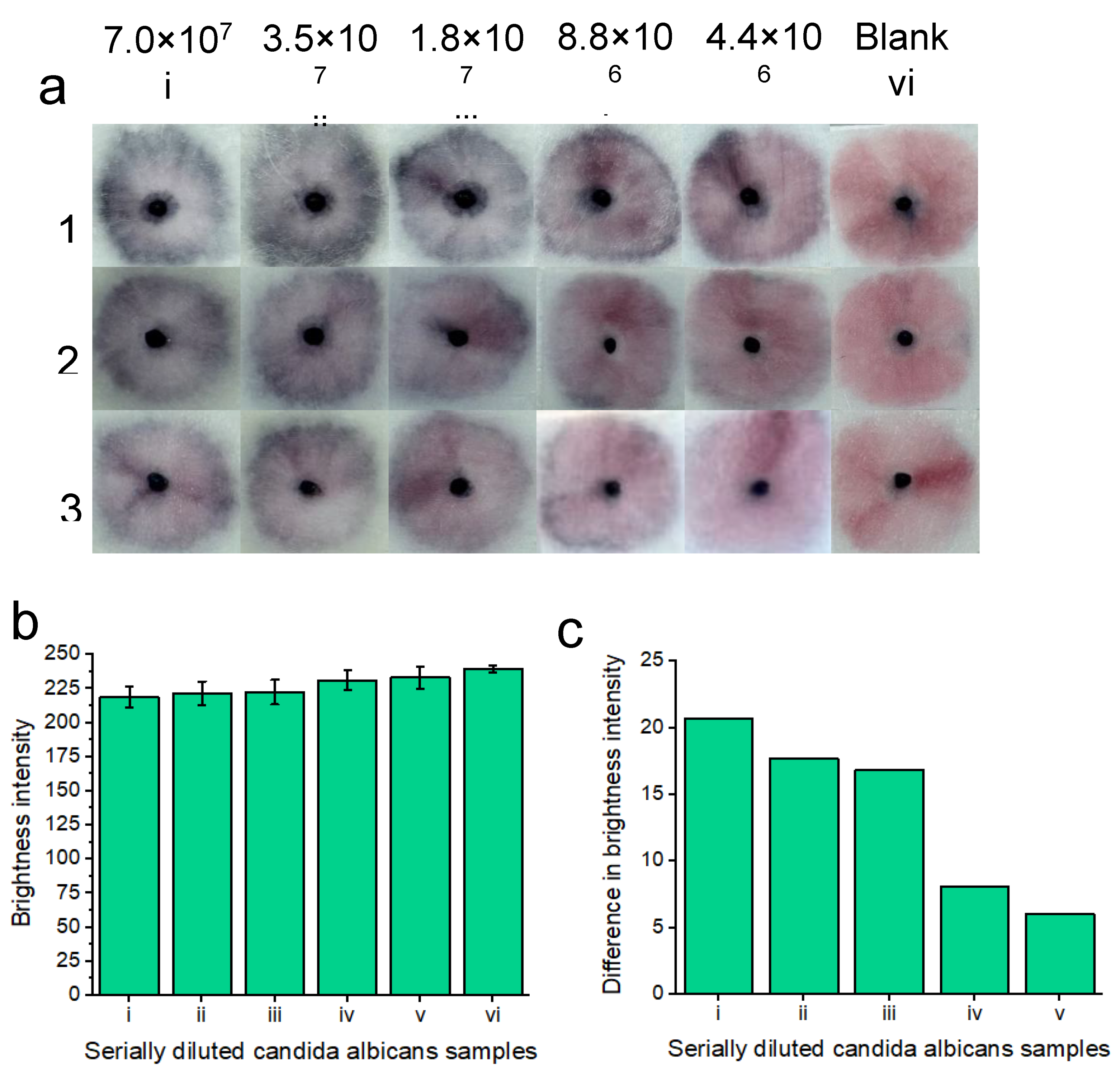 Preprints 108024 g005