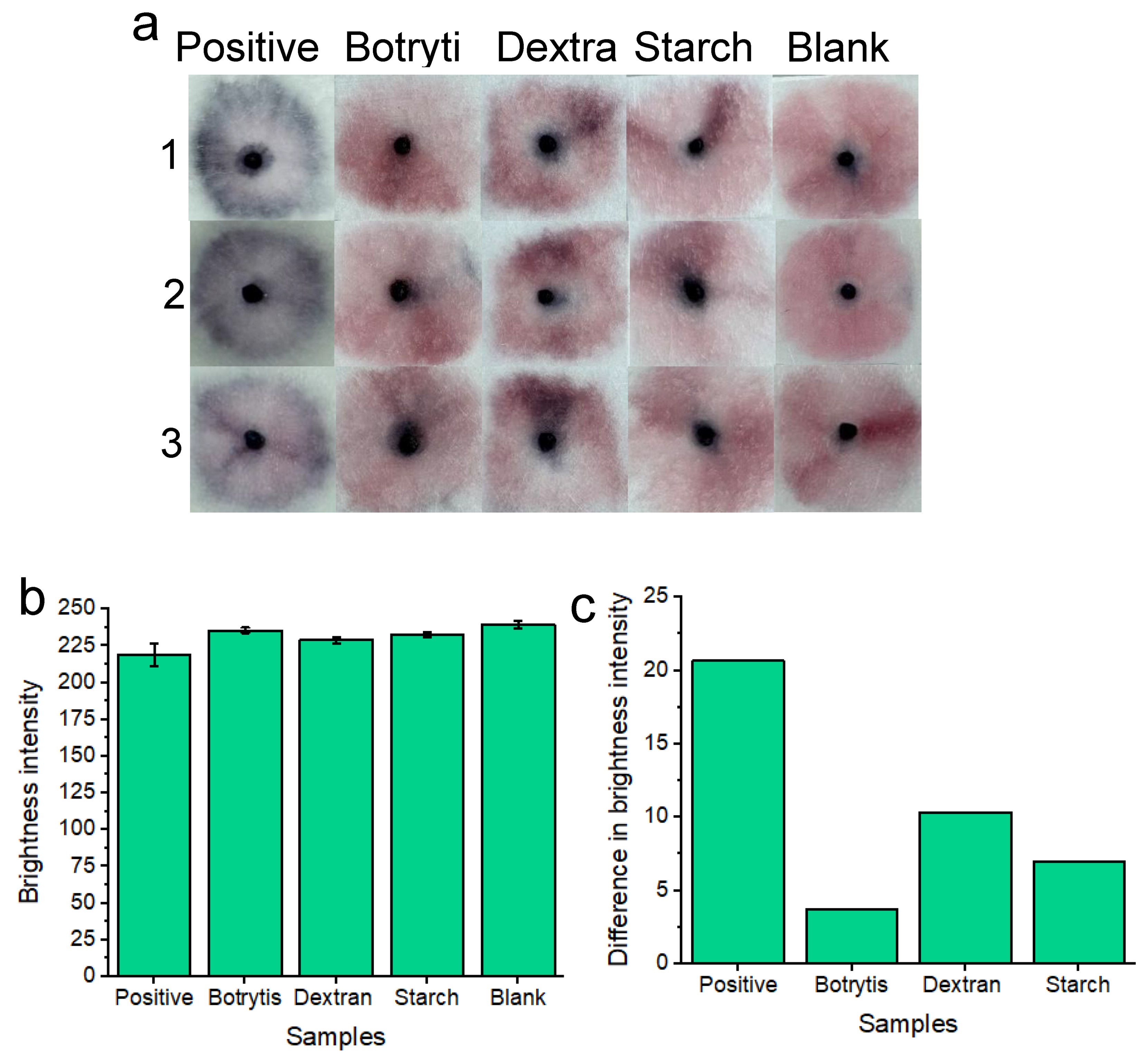 Preprints 108024 g006