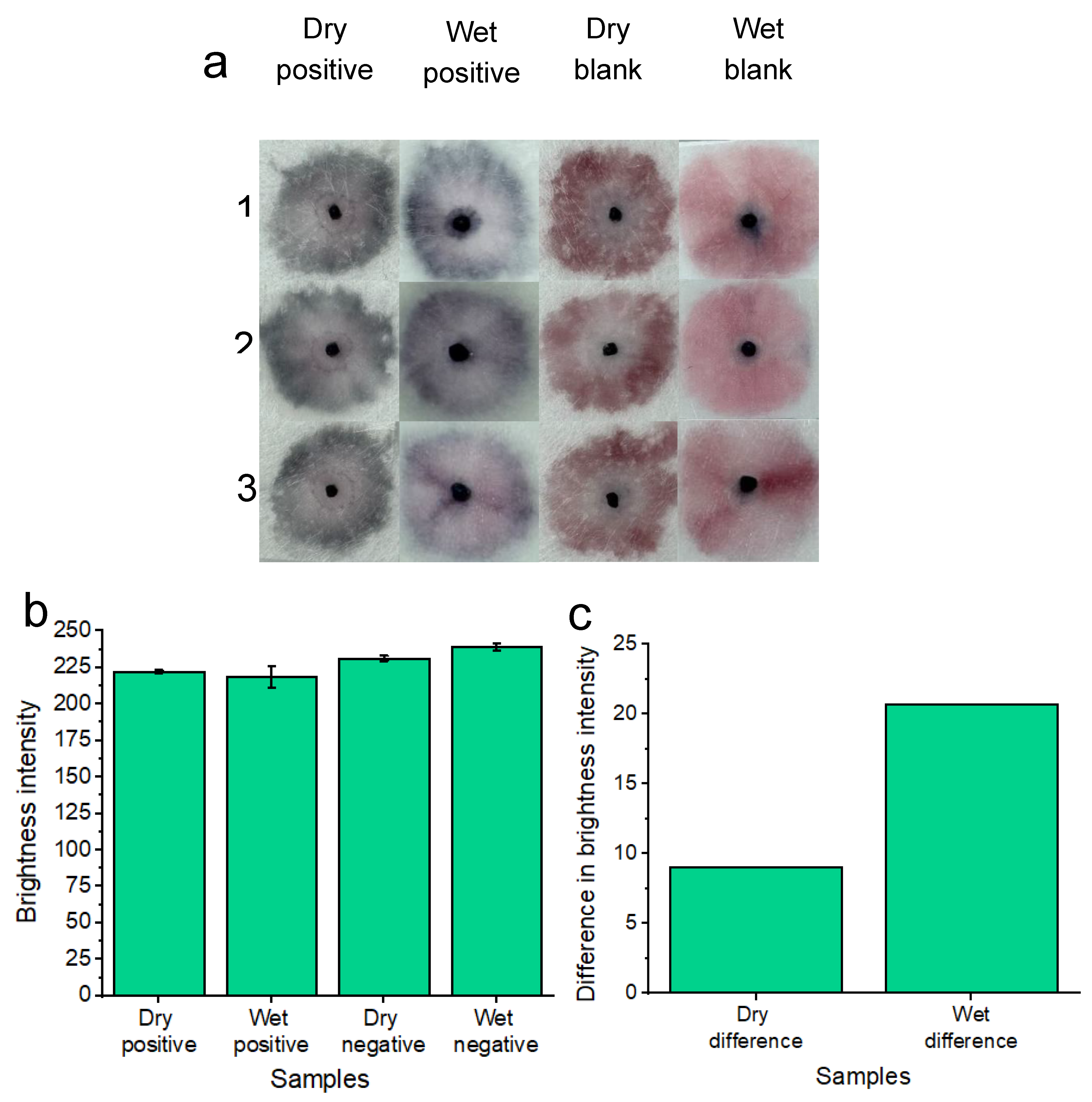 Preprints 108024 g007