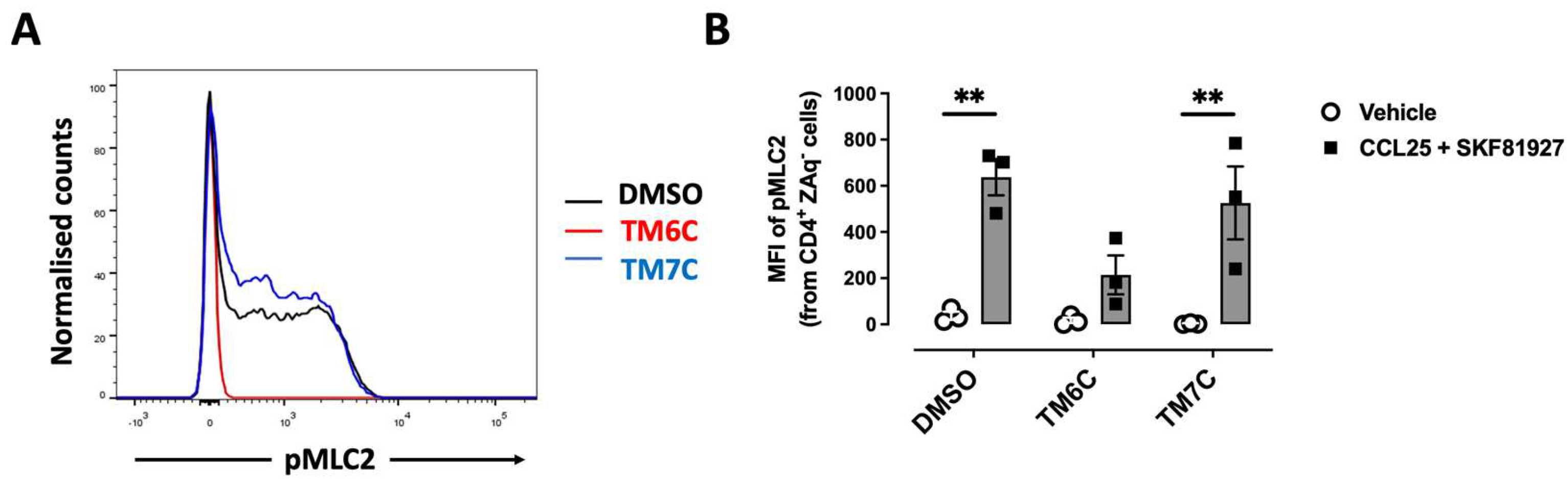 Preprints 115156 g002