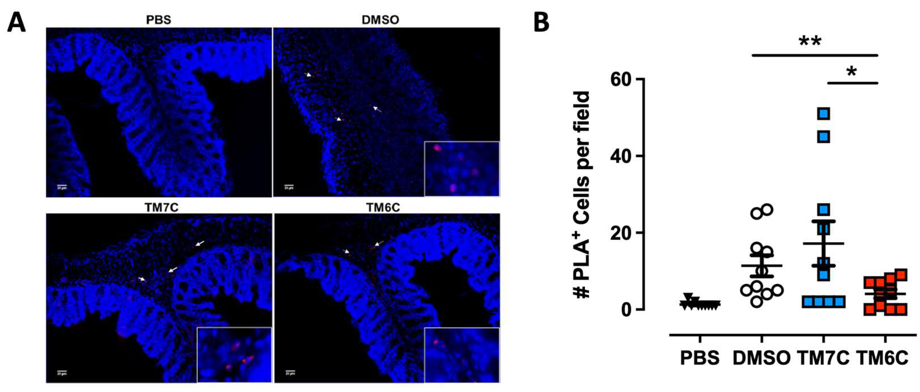 Preprints 115156 g003