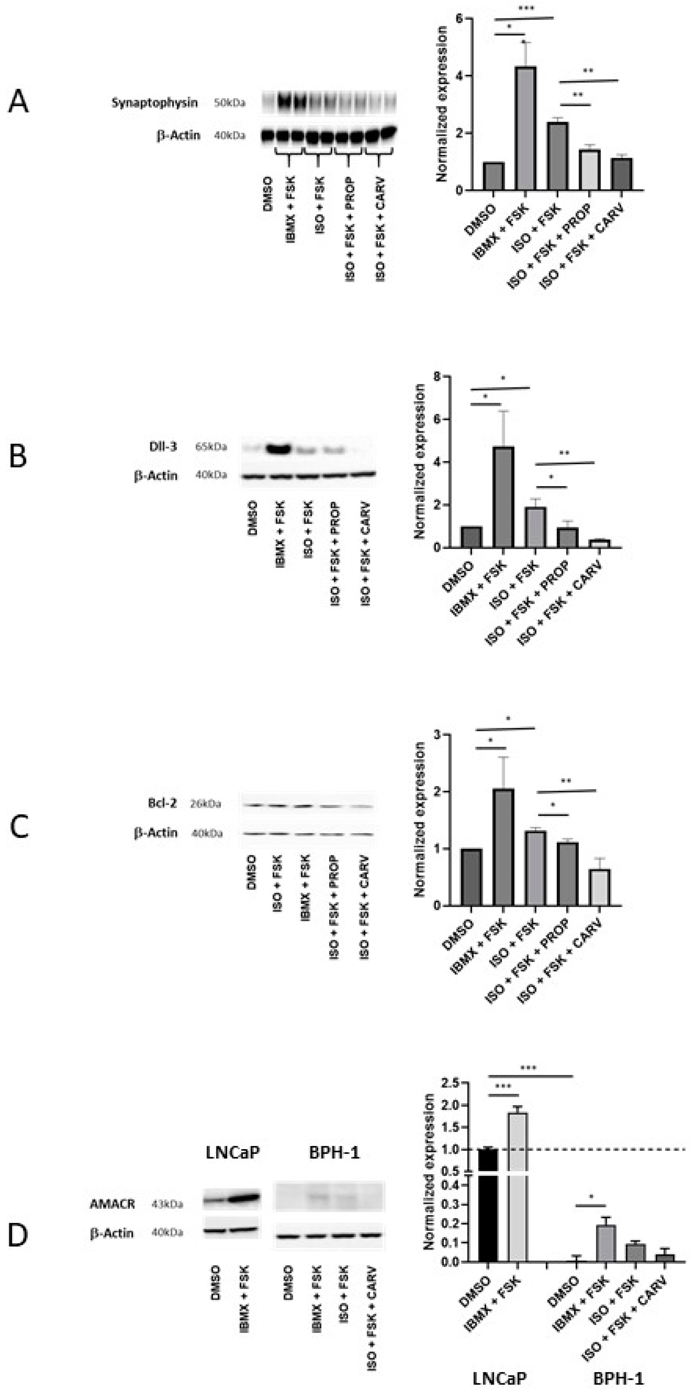 Preprints 117719 g004