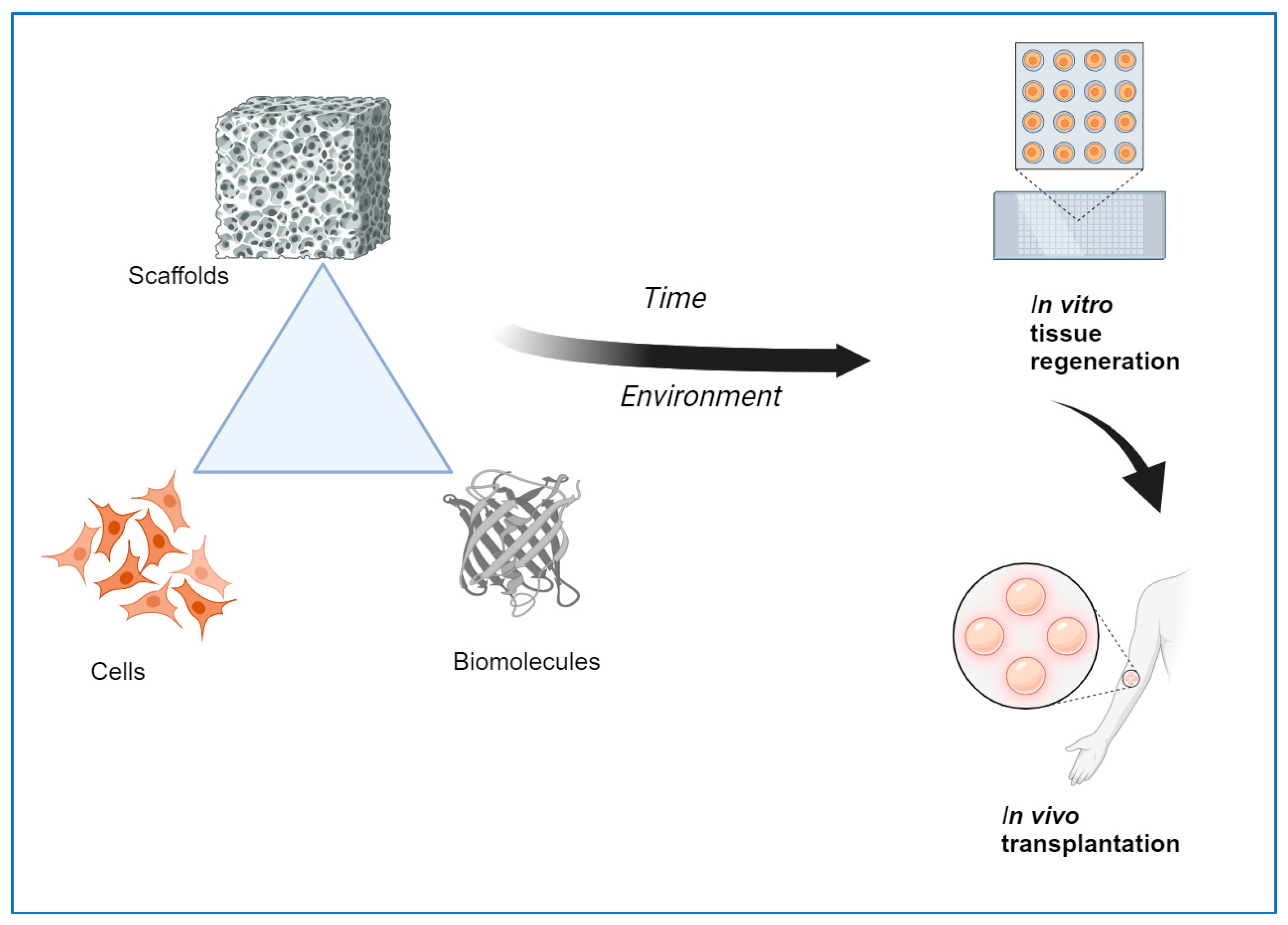 Preprints 137513 g001