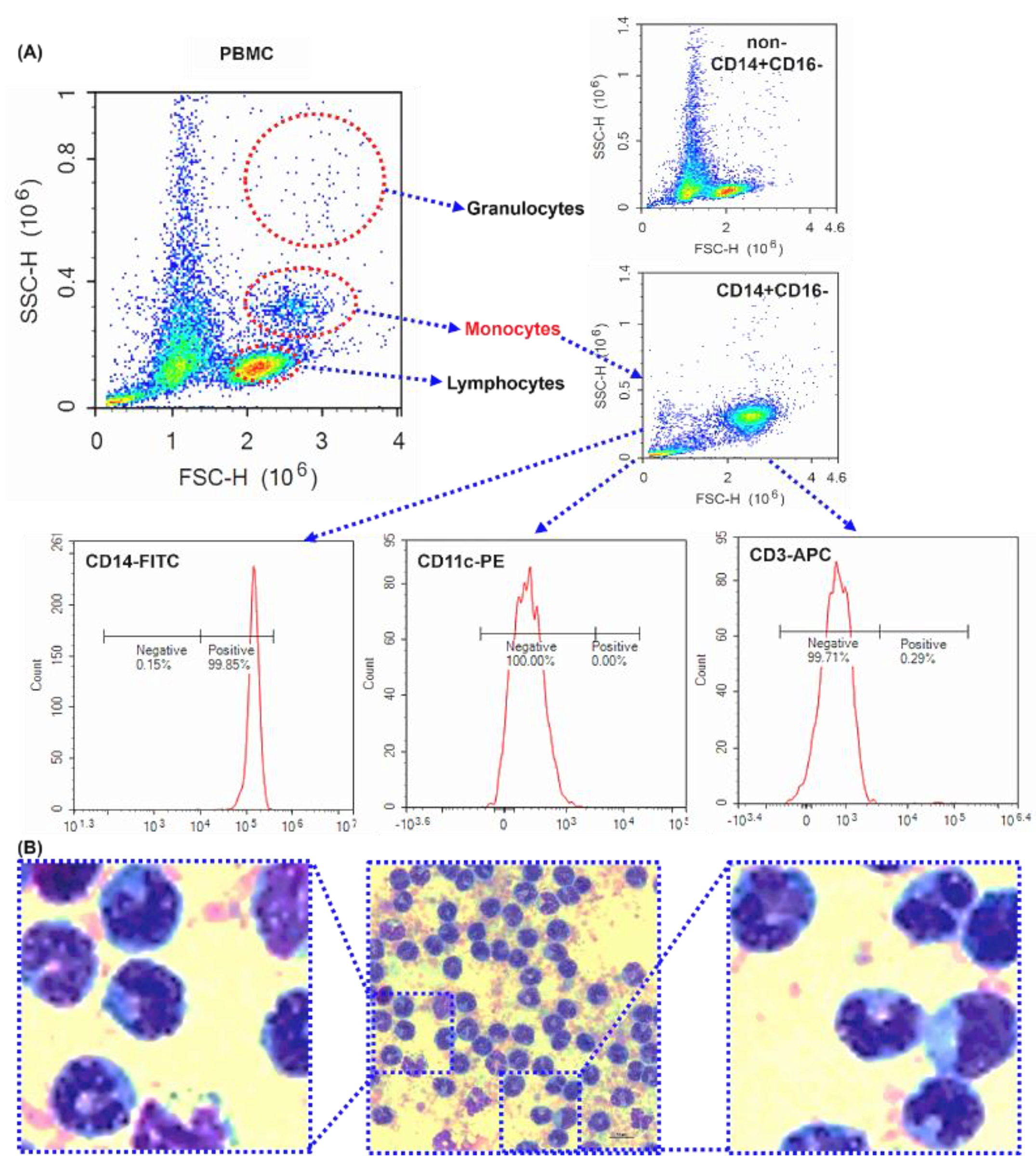 Preprints 120065 g001