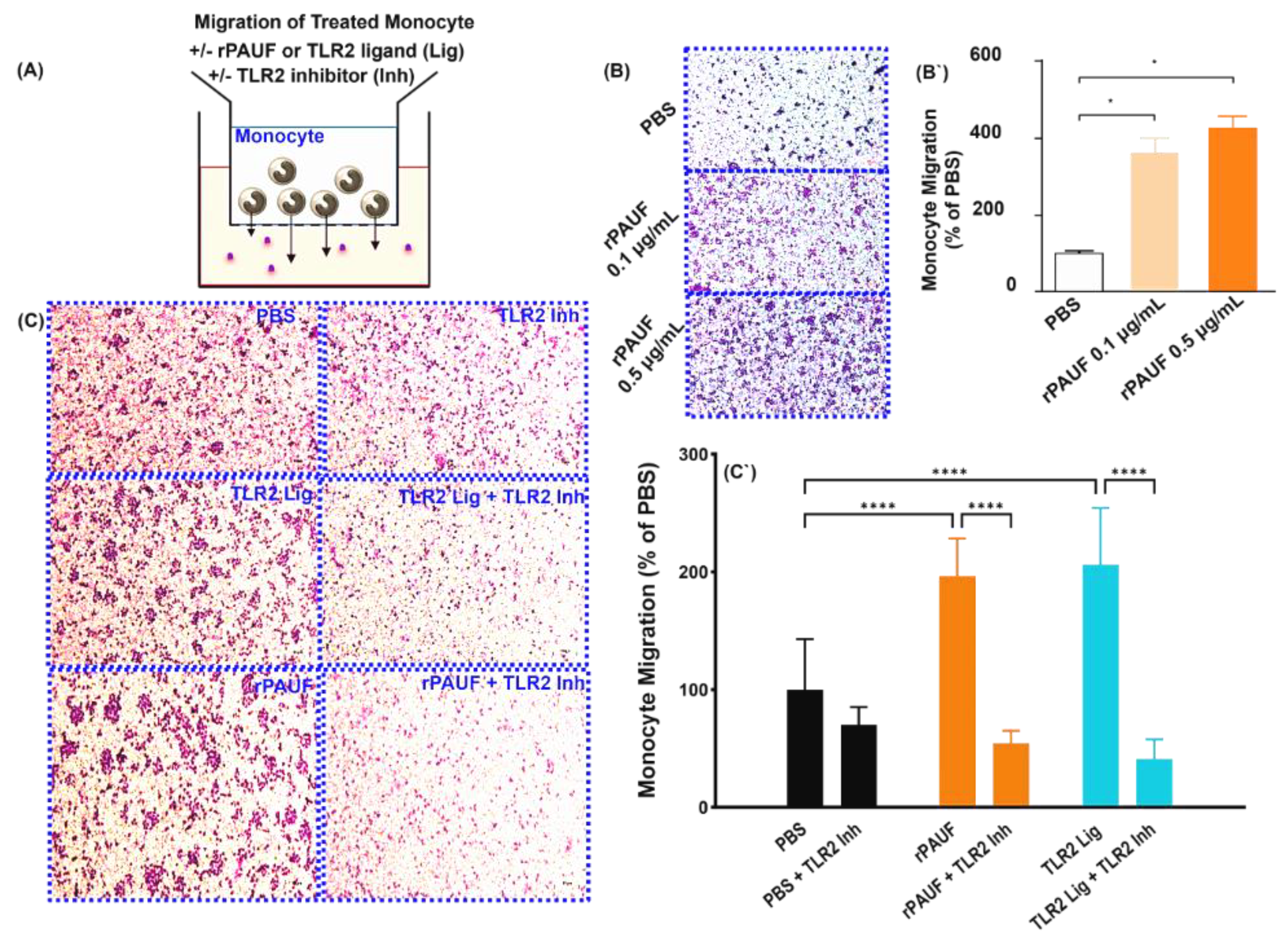 Preprints 120065 g002