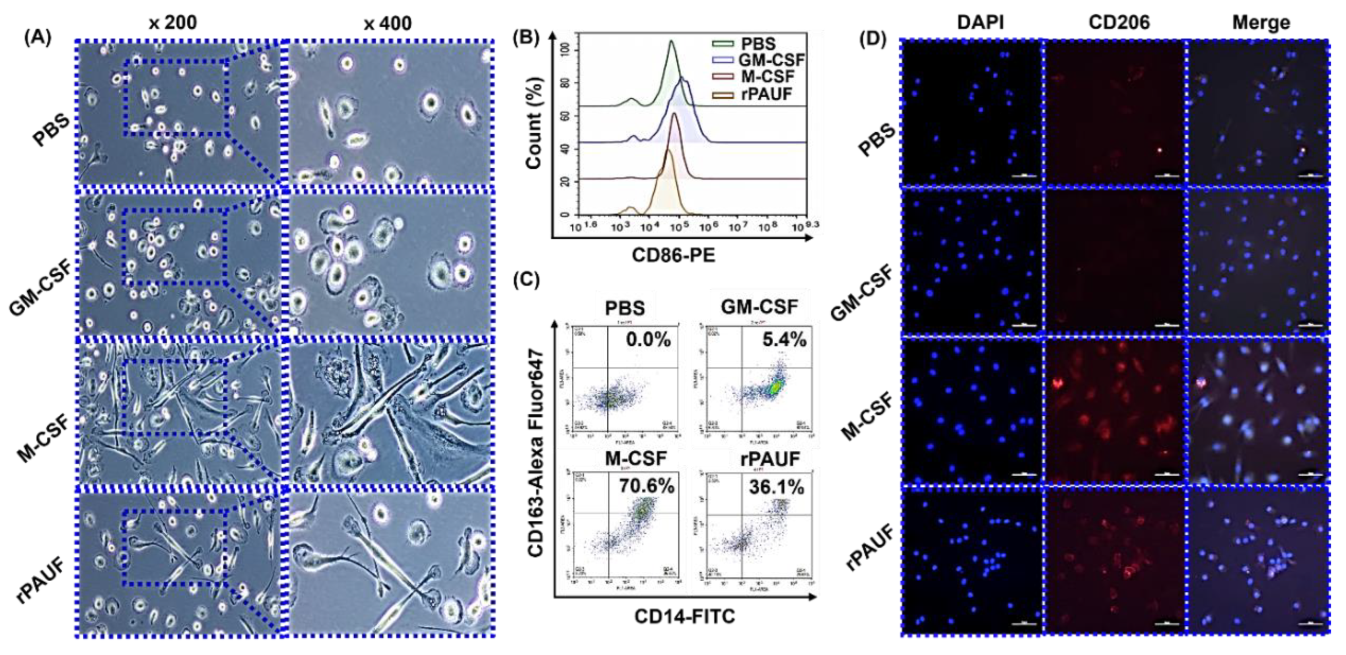 Preprints 120065 g003