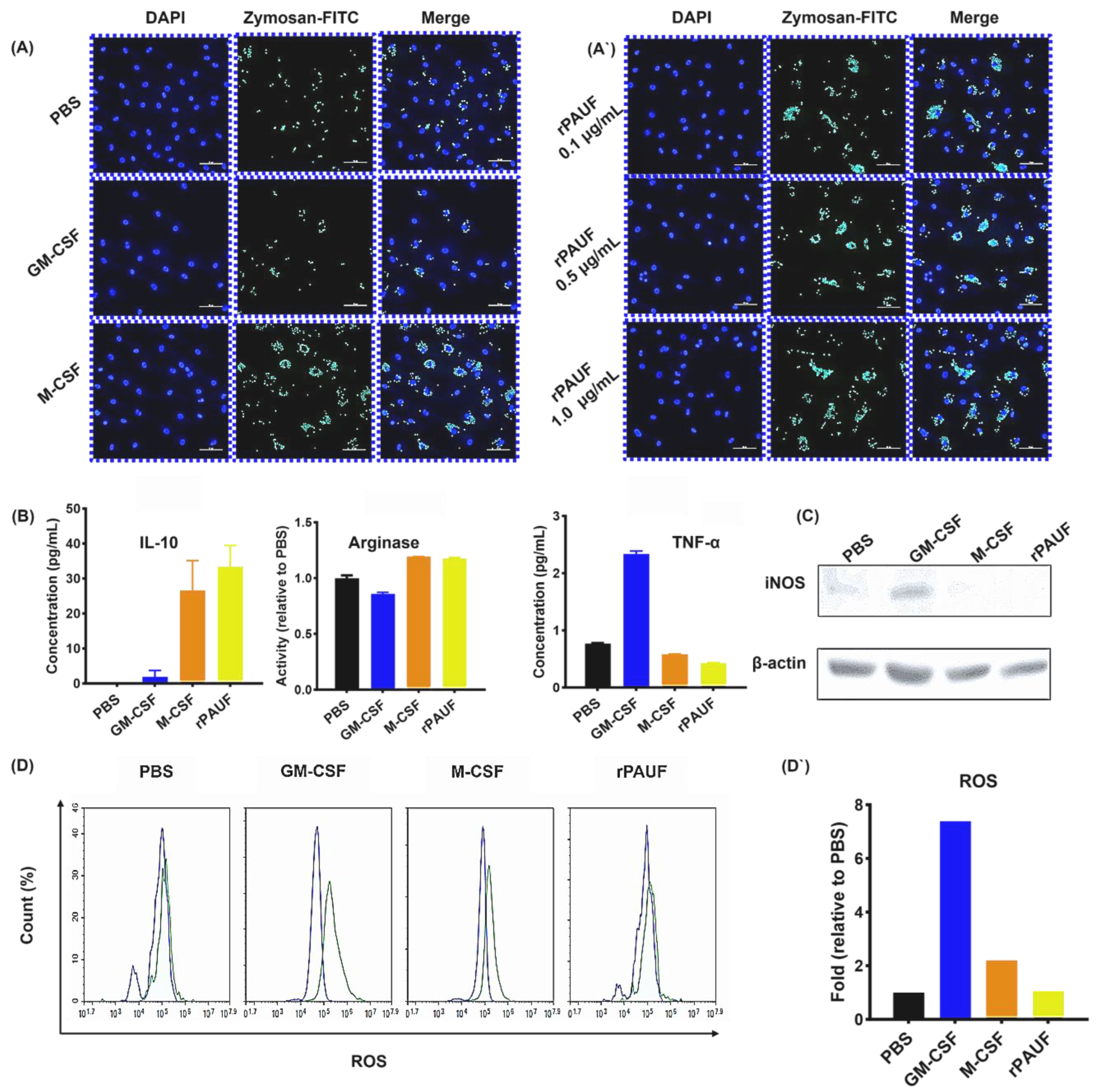 Preprints 120065 g004