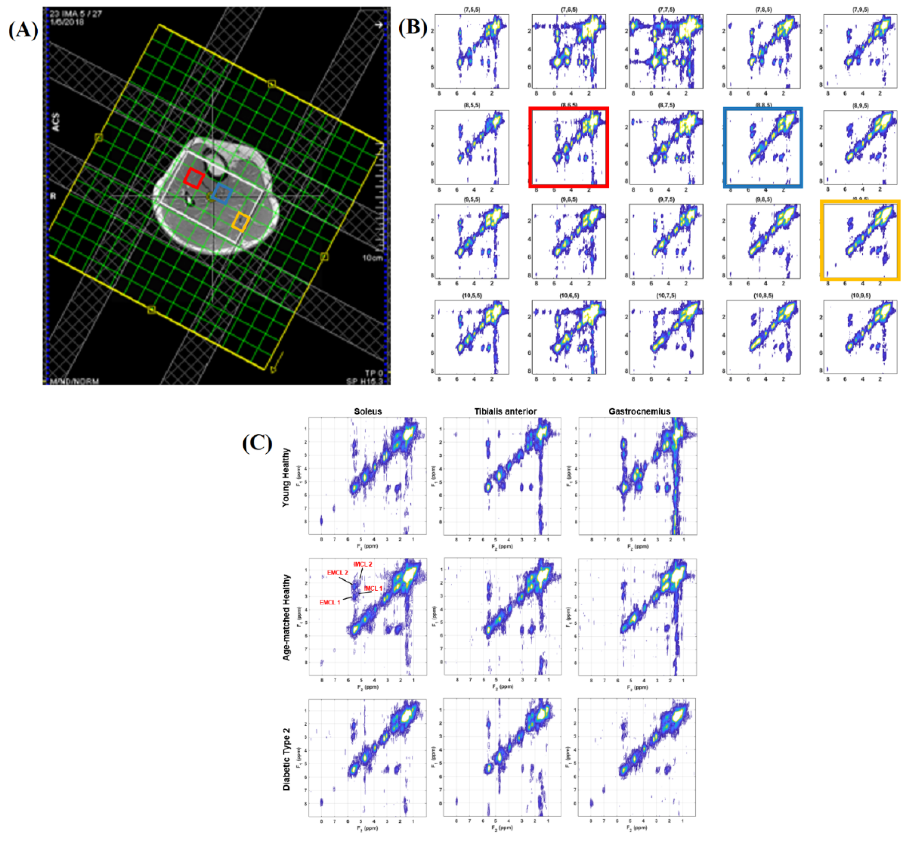 Preprints 118504 g001