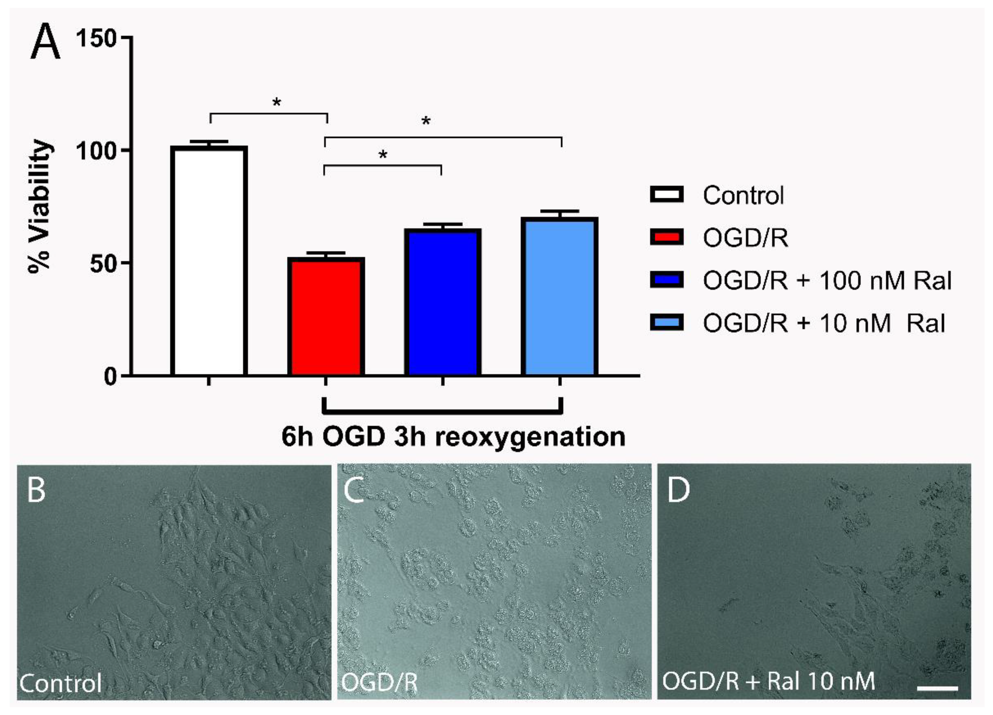 Preprints 107038 g001