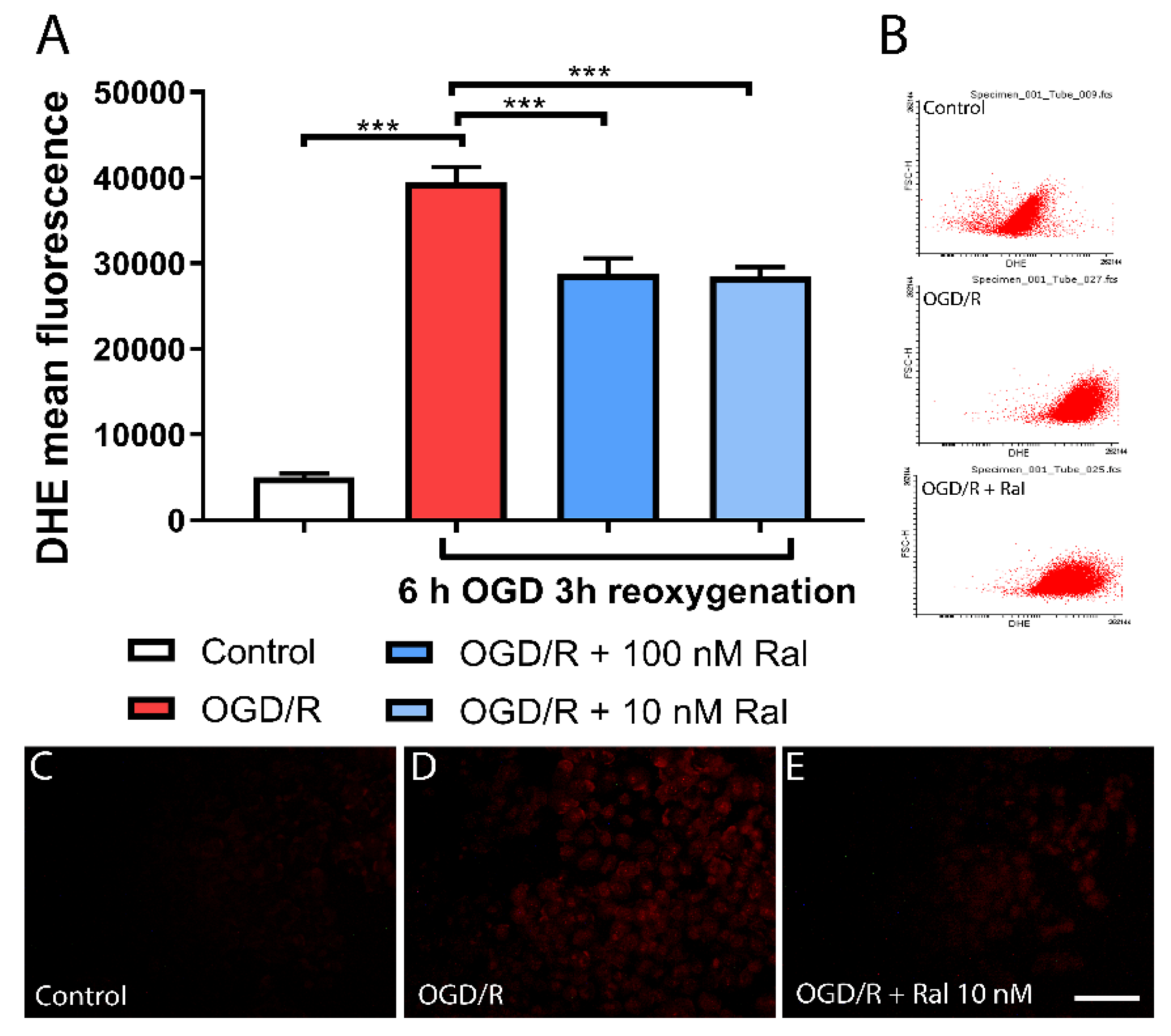 Preprints 107038 g002