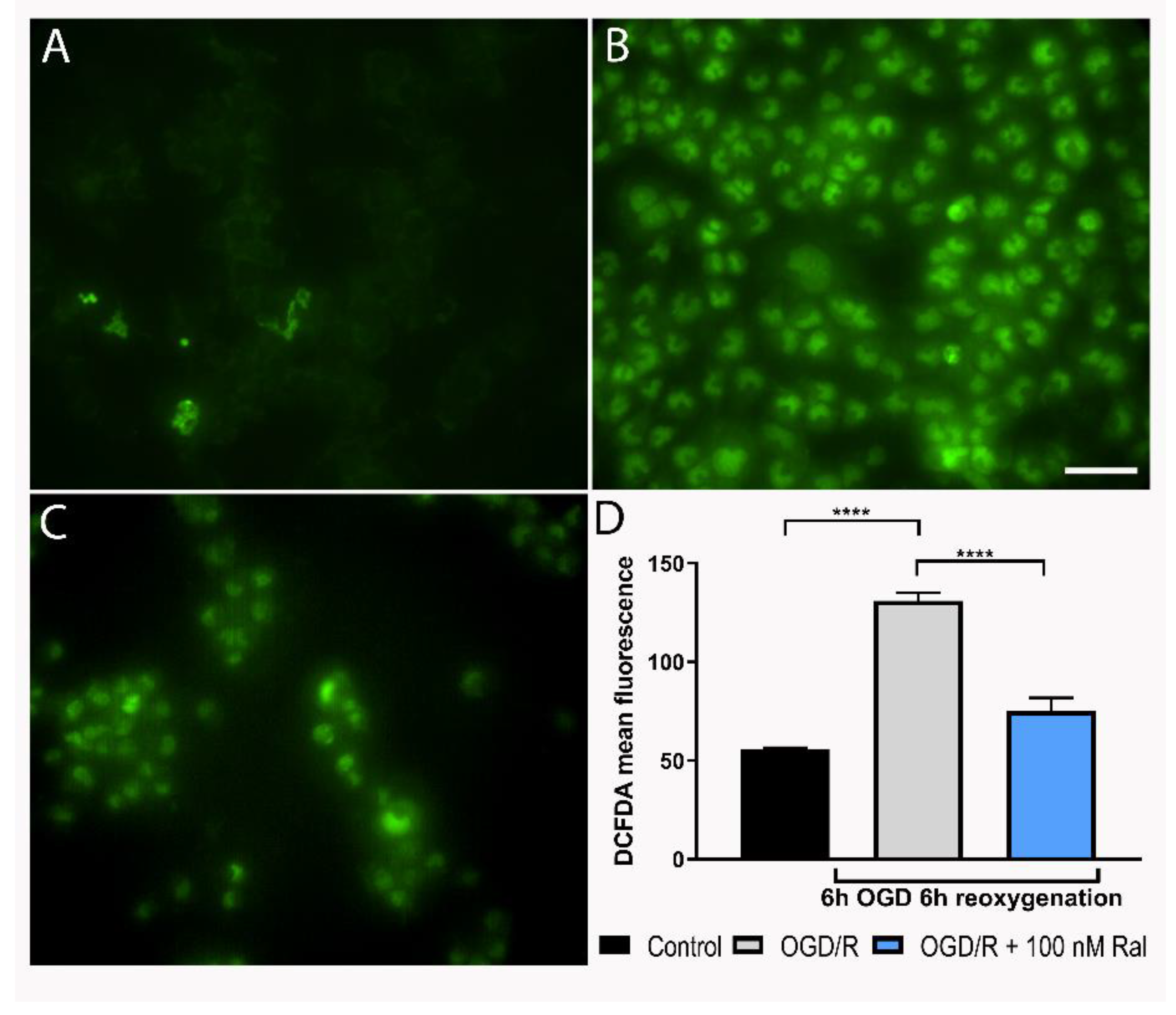 Preprints 107038 g003