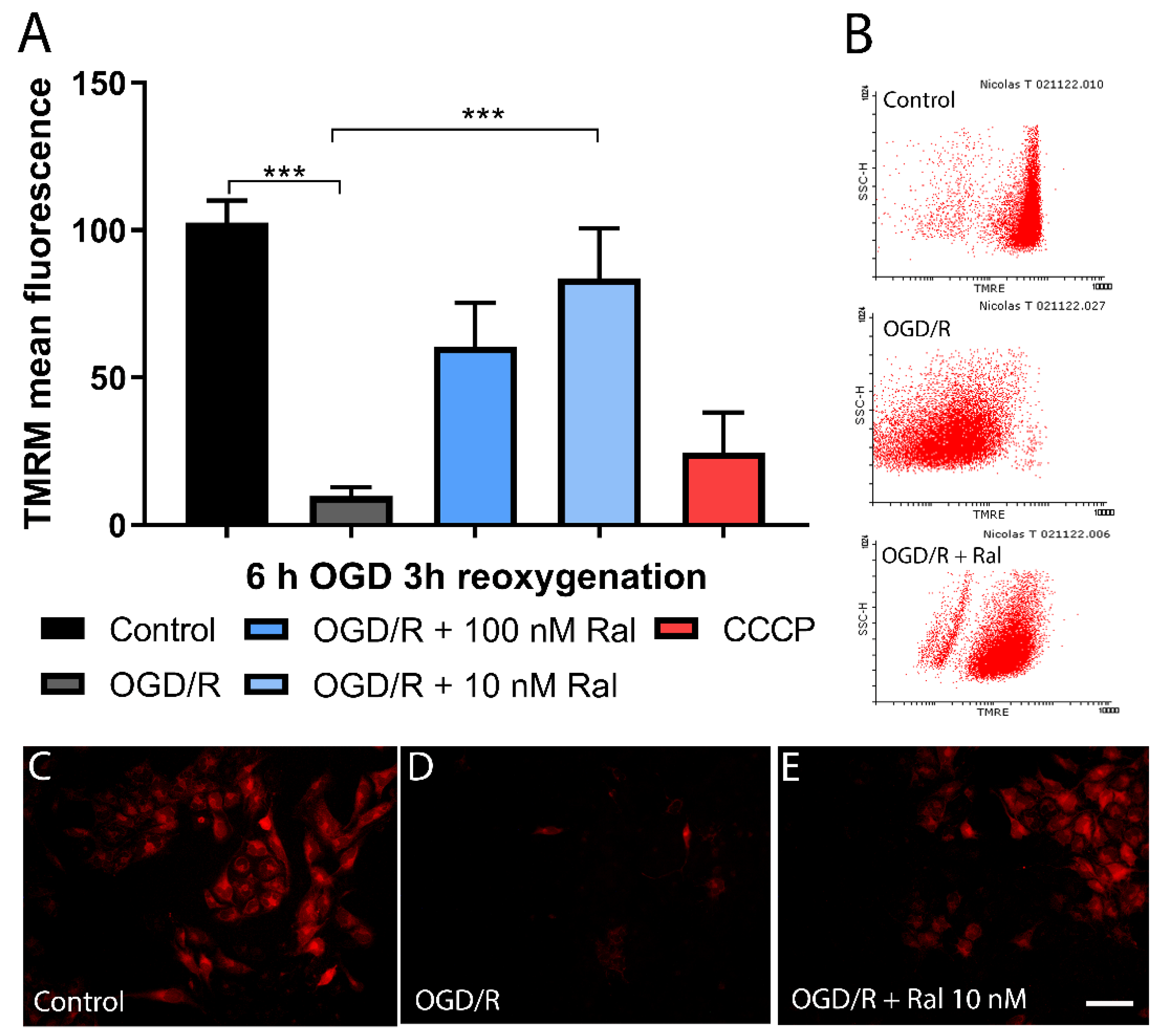 Preprints 107038 g004