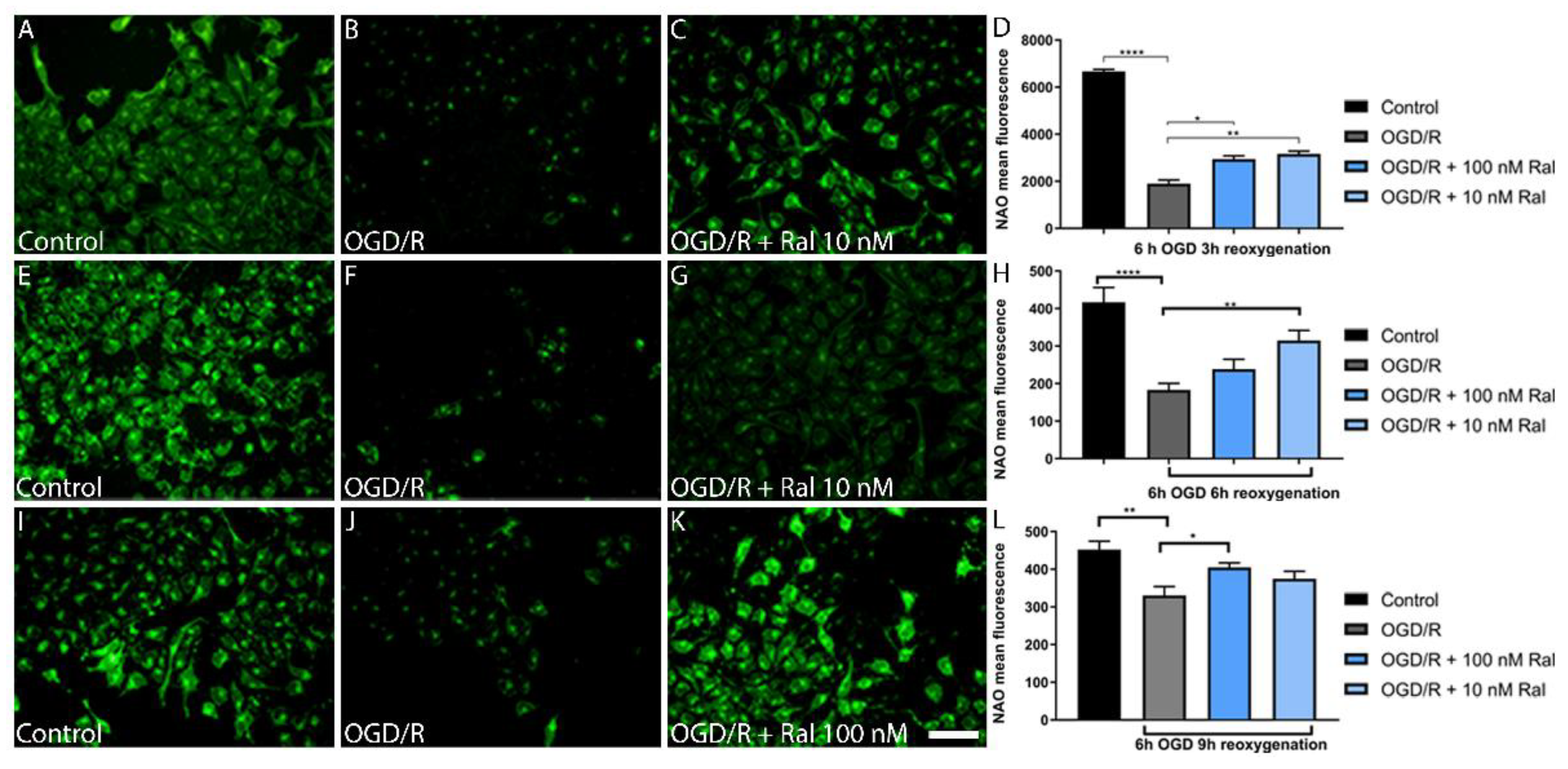 Preprints 107038 g005