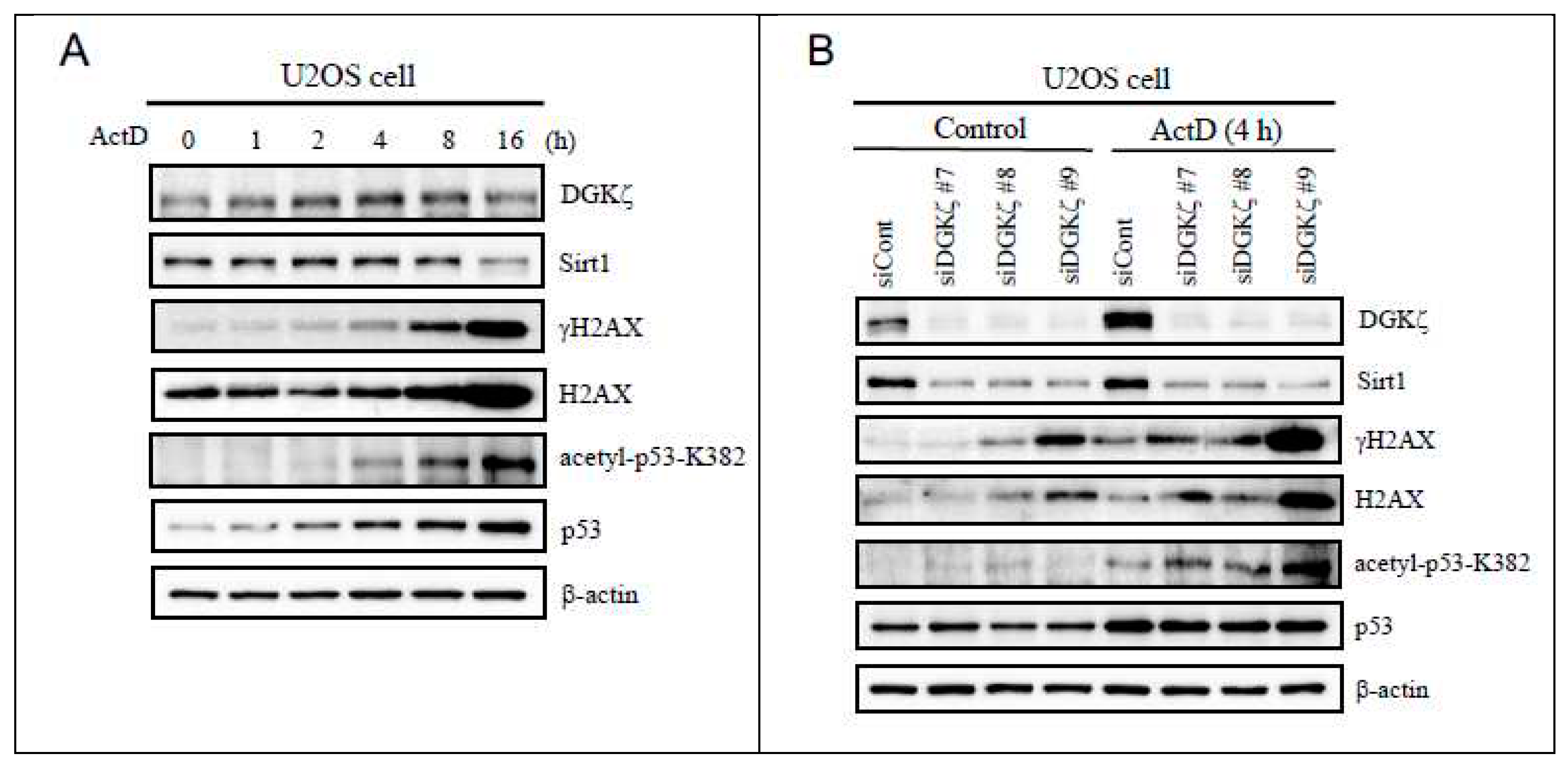 Preprints 74694 g001a