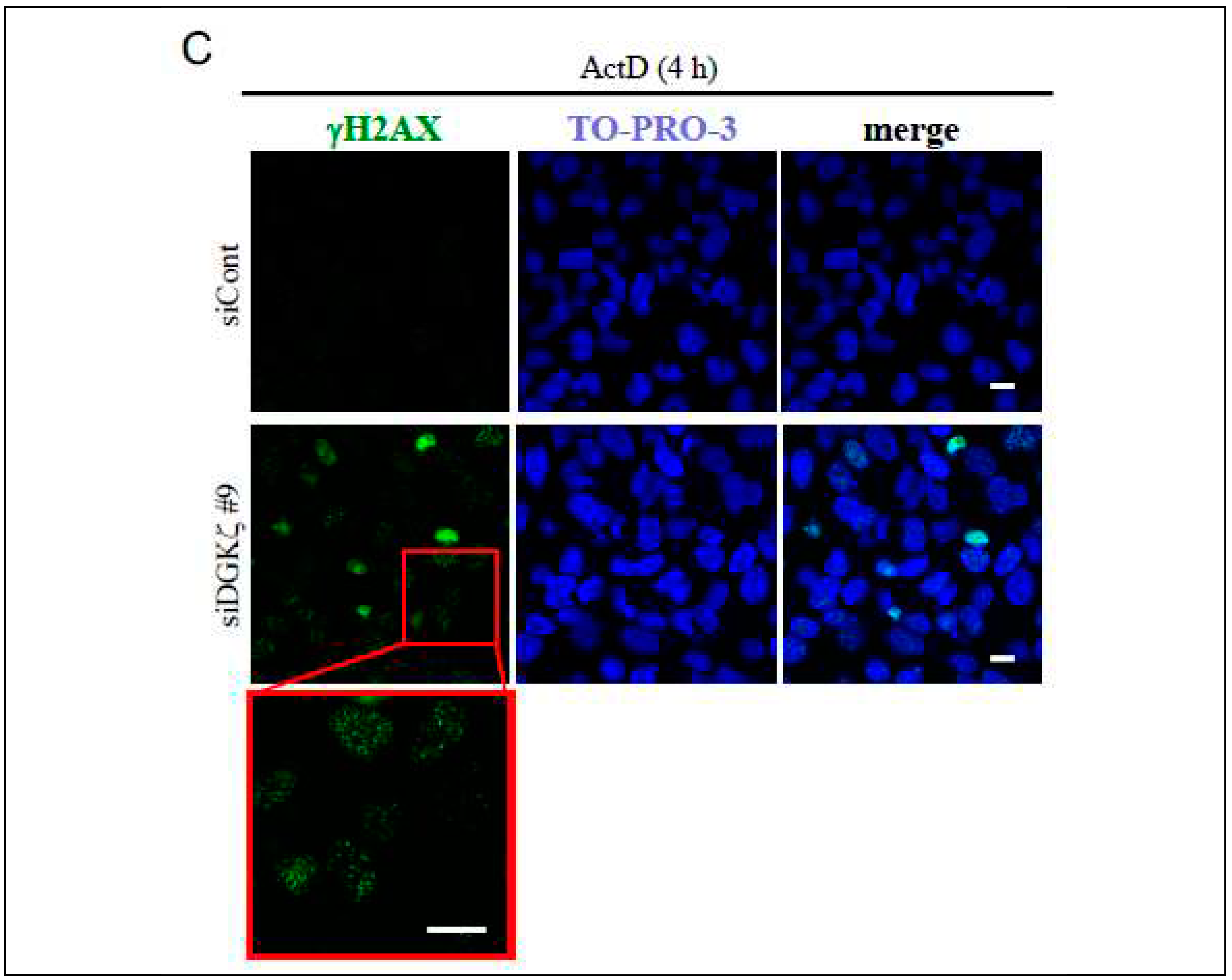 Preprints 74694 g001b