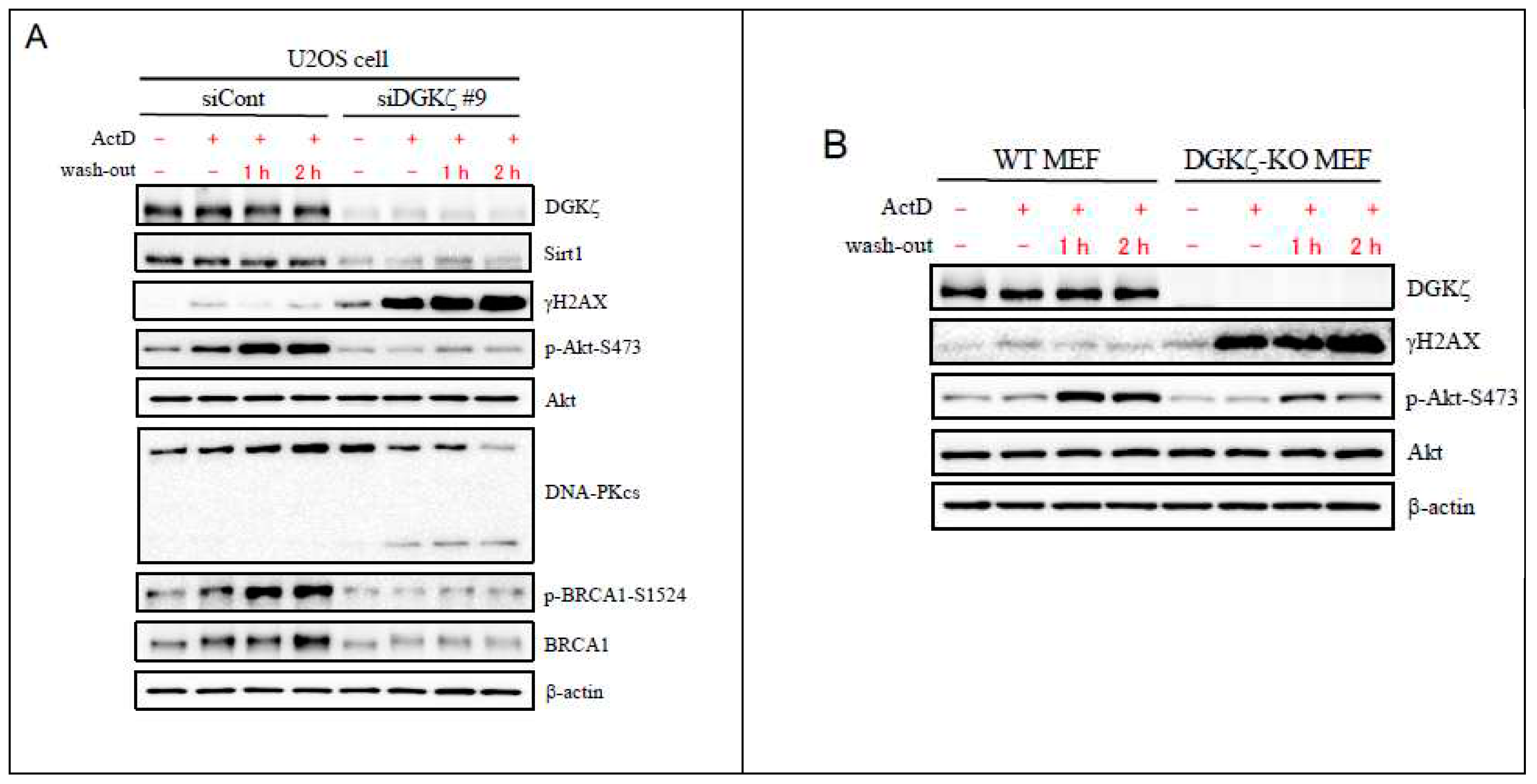 Preprints 74694 g002a