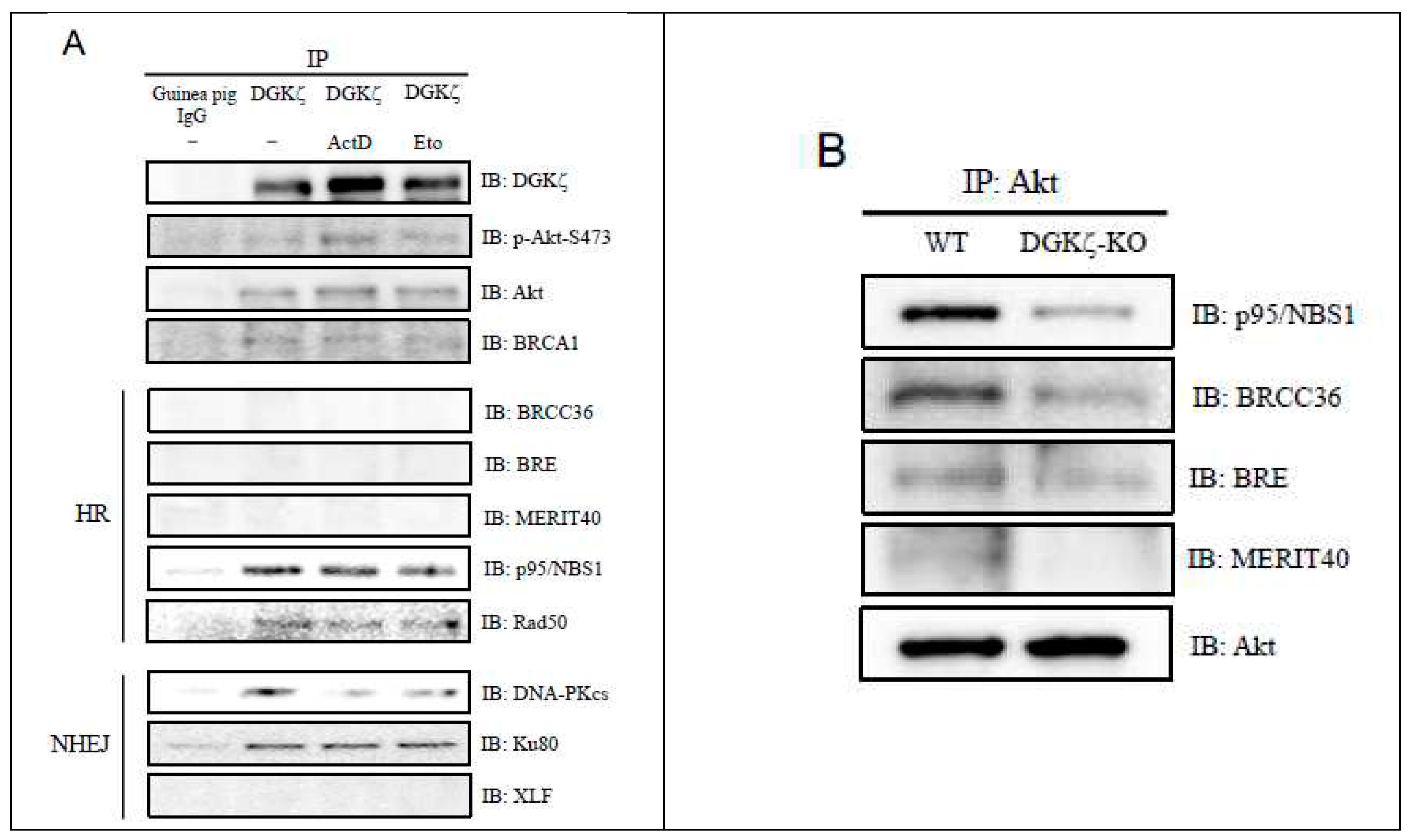 Preprints 74694 g003a