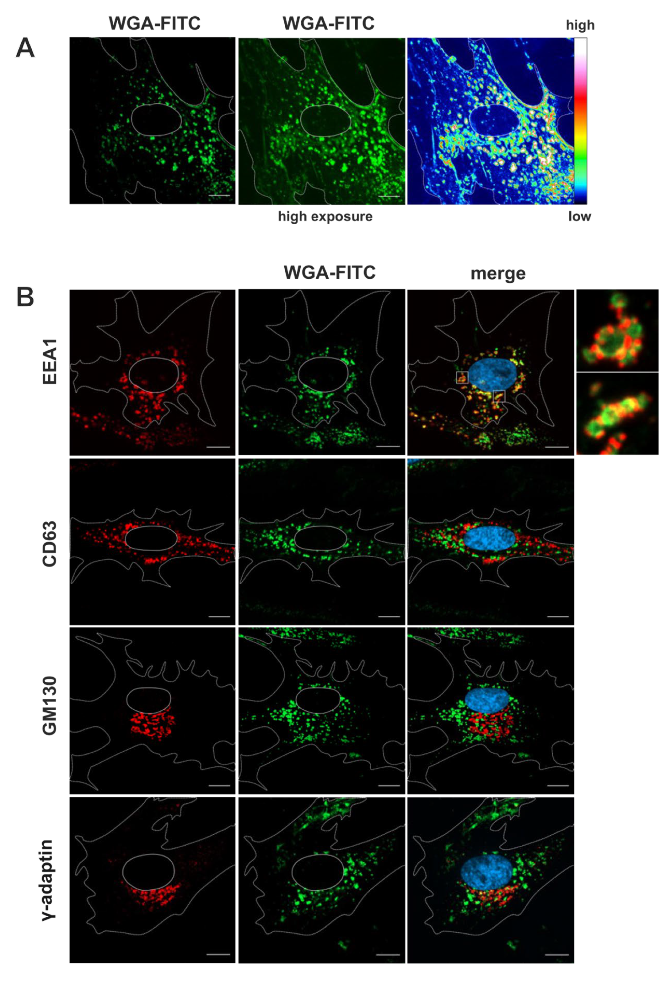 Preprints 116083 g002