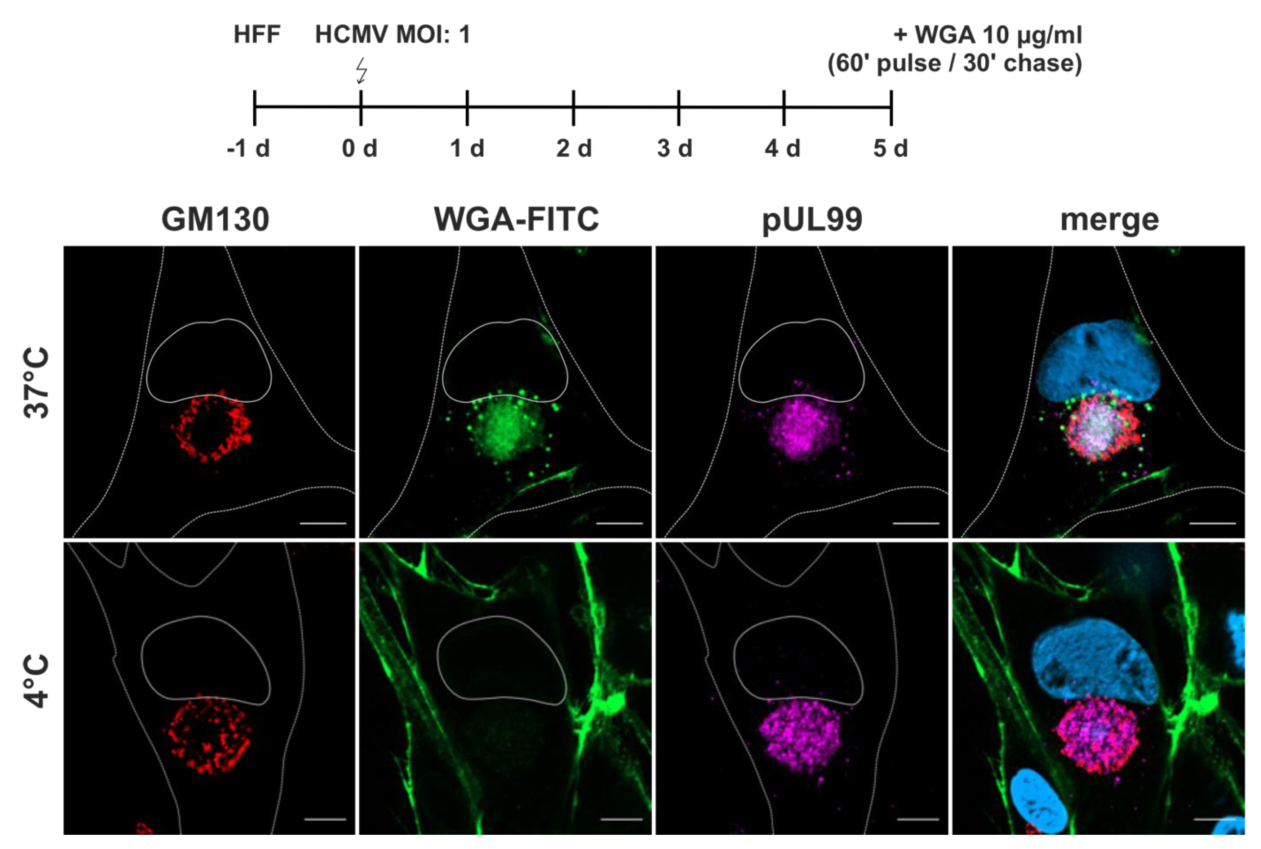 Preprints 116083 g003