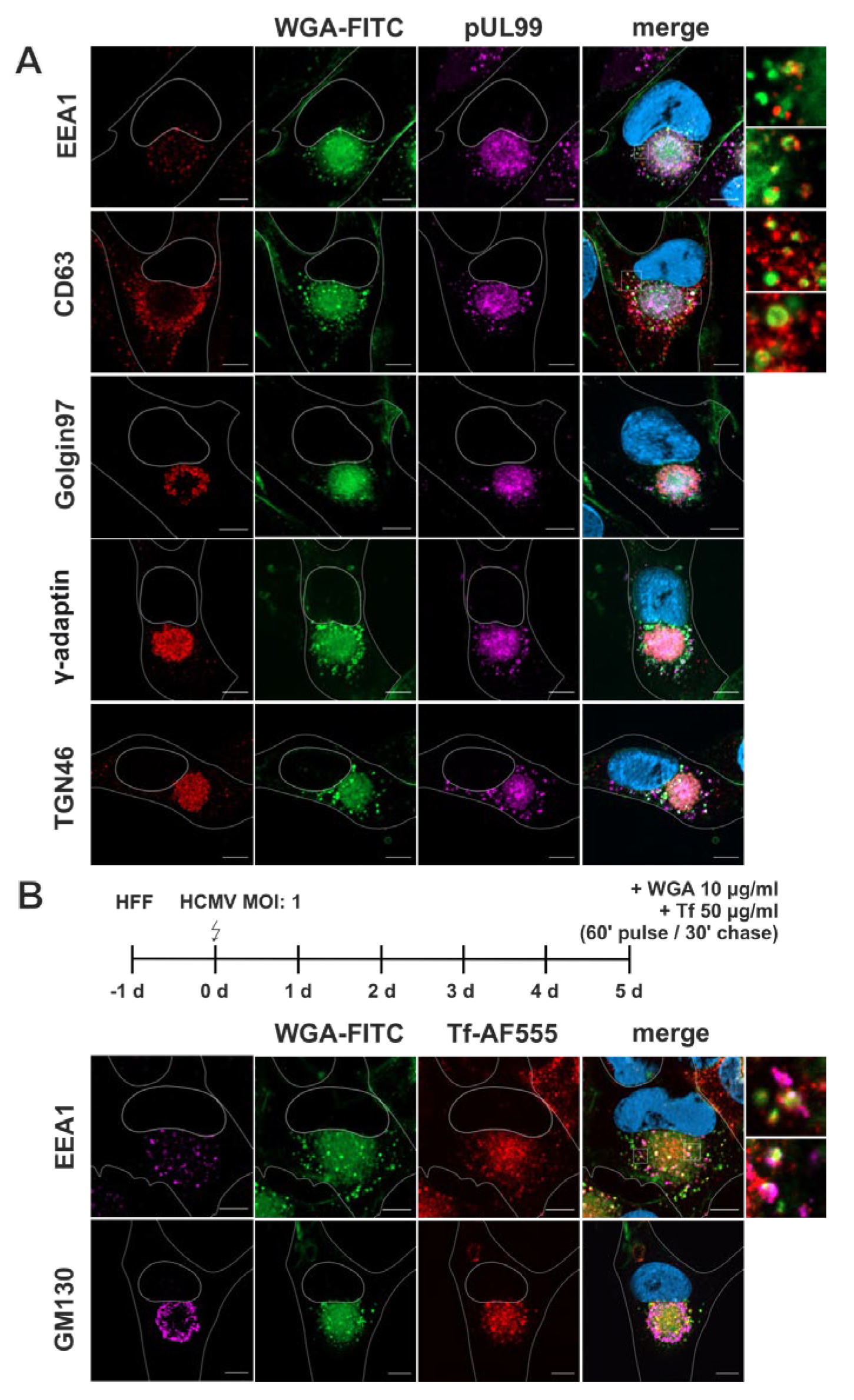 Preprints 116083 g004