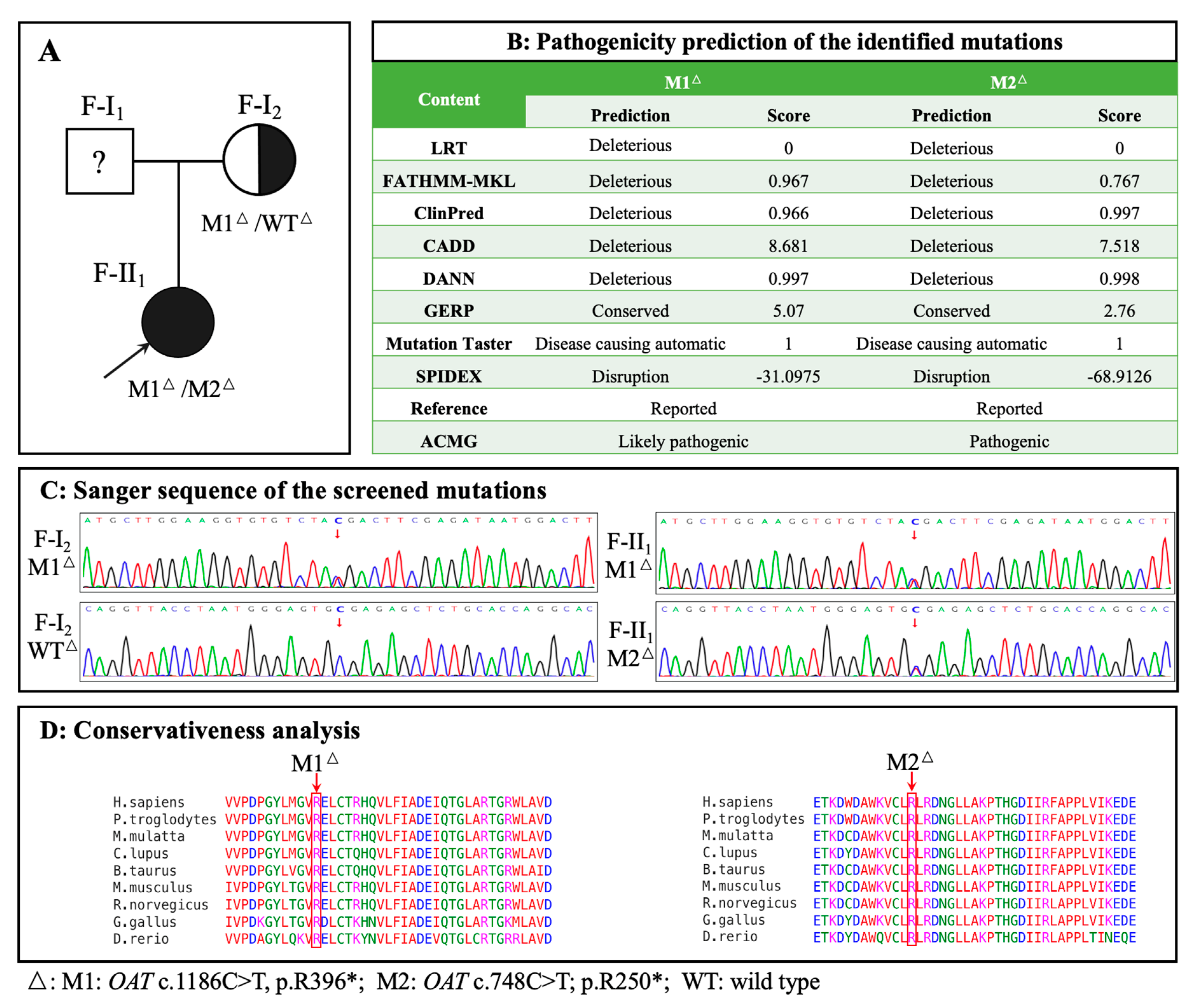 Preprints 105187 g003