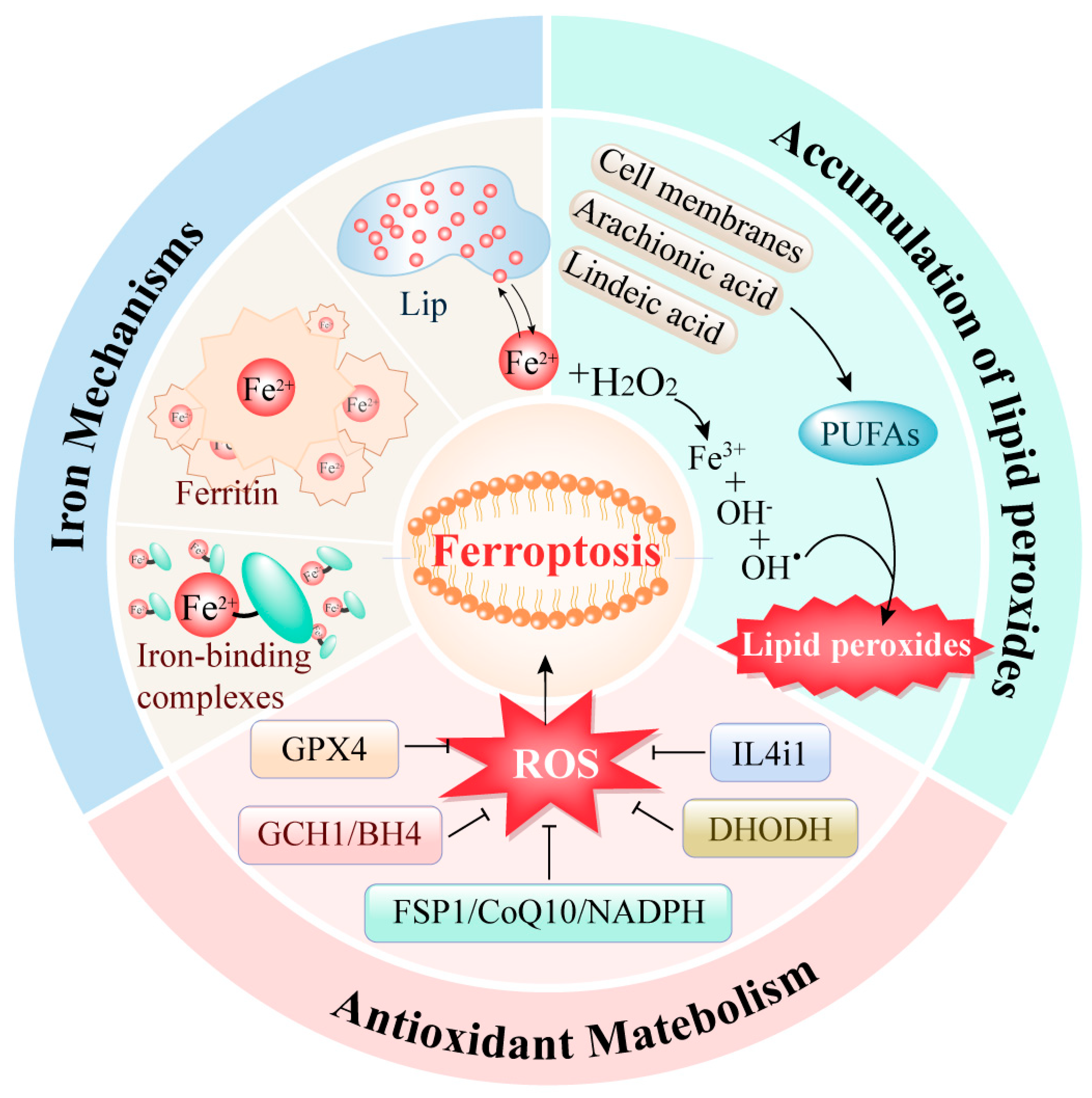 Preprints 113367 g001