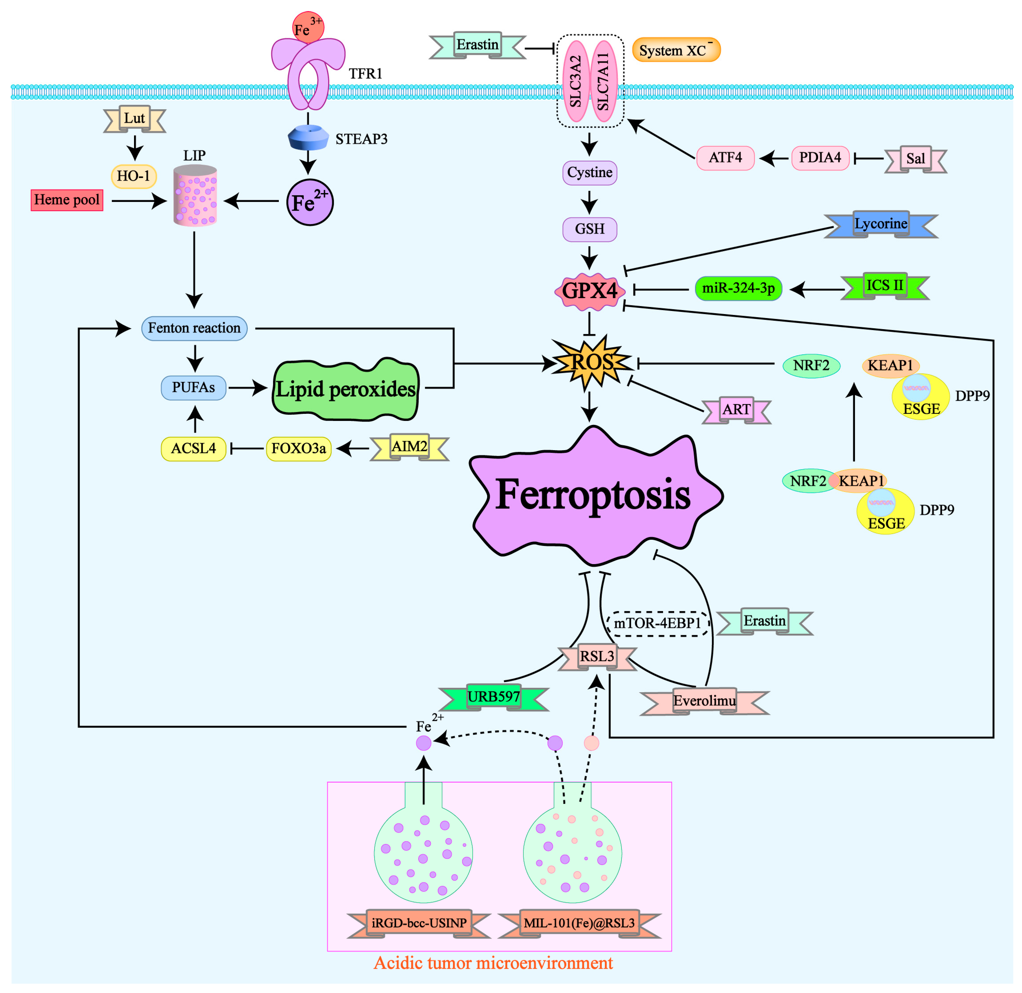 Preprints 113367 g002